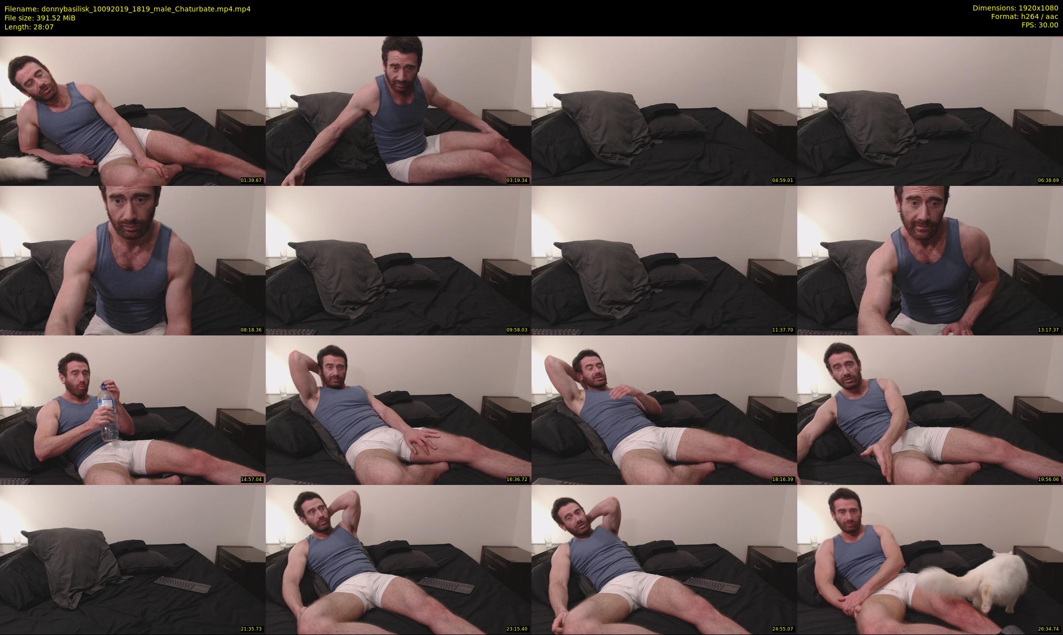 donnybasilisk — 29 minute Chaturbate male cam show recording, 1080p, Sep 10, 2019