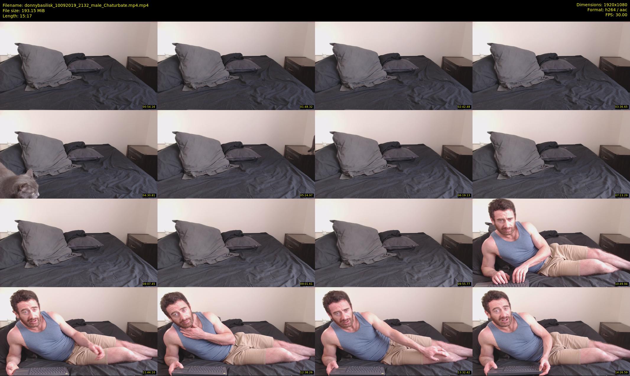 donnybasilisk — 16 minute Chaturbate male cam show recording, 1080p, Sep 10, 2019