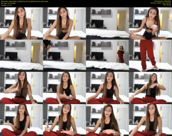 wennndyk — 13 minute MyFreeCams cam show recording, 480p, Sep 12, 2019