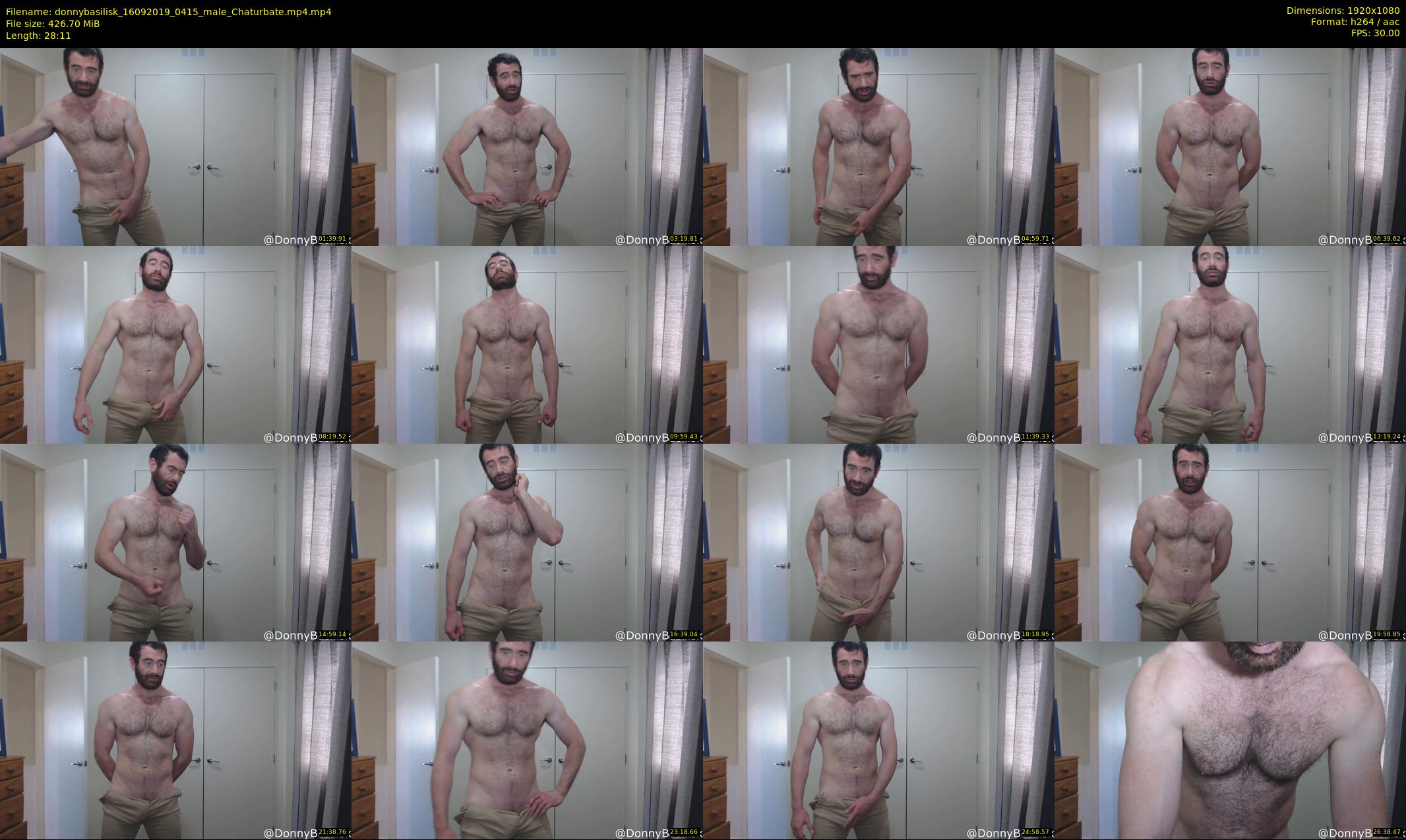 donnybasilisk — 29 minute Chaturbate male cam show recording, 1080p, Sep 16, 2019