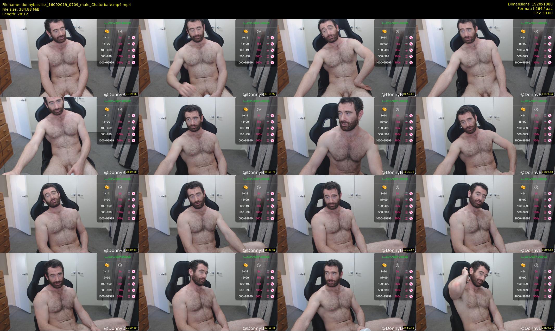 donnybasilisk — 29 minute Chaturbate male cam show recording, 1080p, Sep 16, 2019