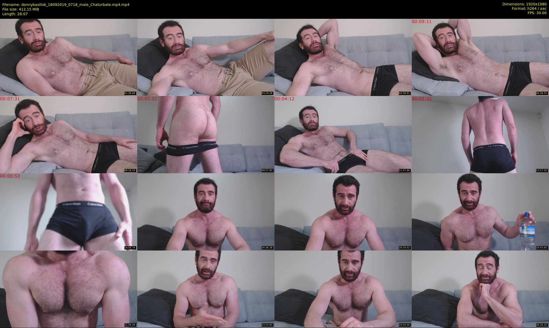 donnybasilisk — 29 minute Chaturbate male cam show recording, 1080p, Sep 18, 2019
