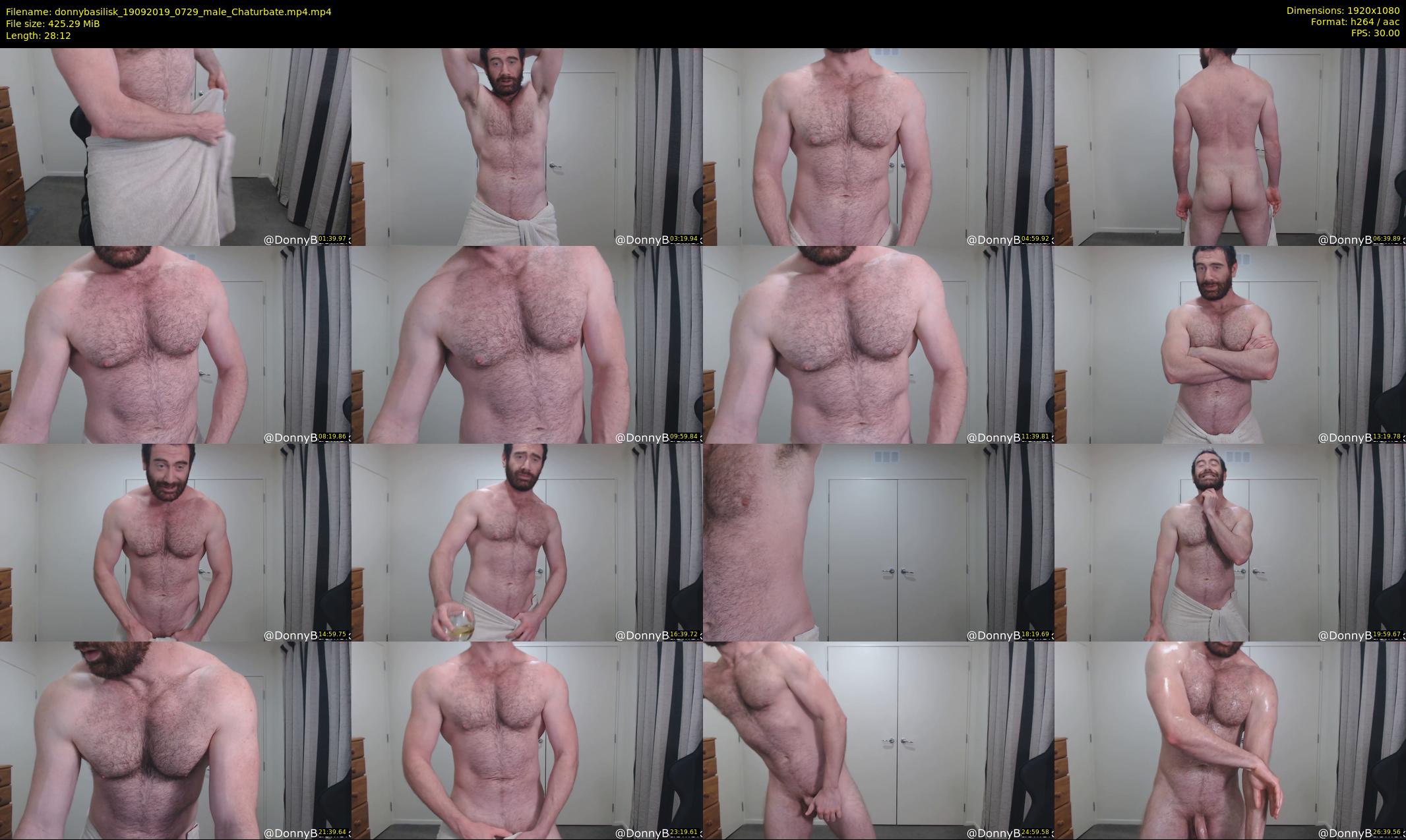 donnybasilisk — 29 minute Chaturbate male cam show recording, 1080p, Sep 19, 2019