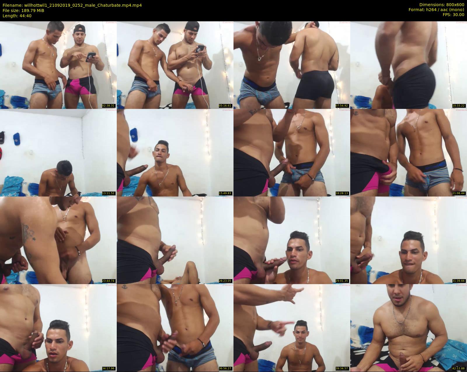 willhottwil1 — 45 minute Chaturbate couple cam show recording, 480p, Sep 21, 2019