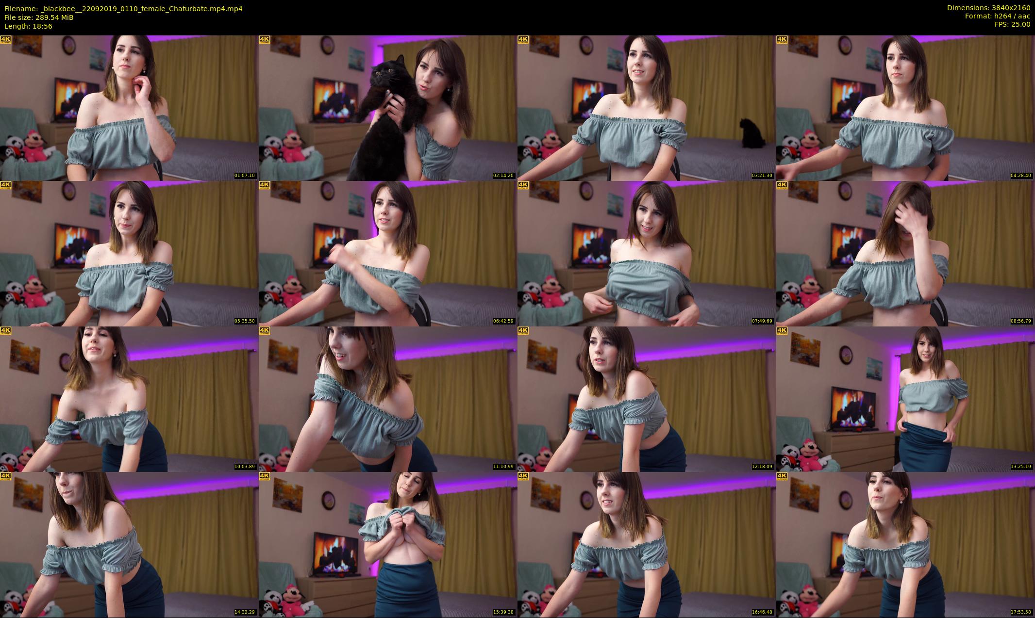 _blackbee_ — 19 minute Chaturbate female cam show recording, 4K, Sep 22, 2019