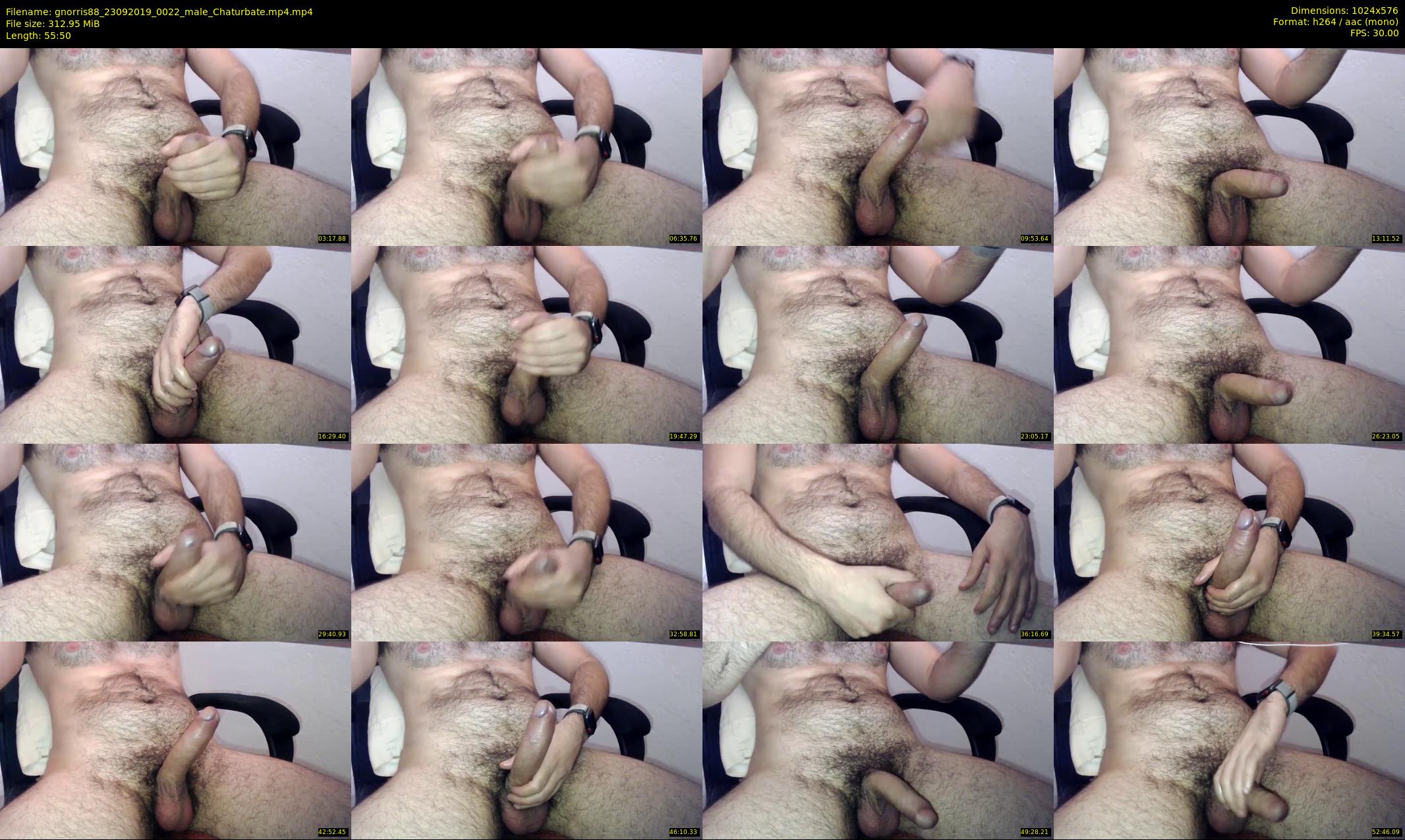 gnorris88 — 56 minute Chaturbate male cam show recording, 480p, Sep 23, 2019