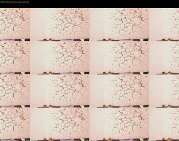ramonatorres_ — 8 minute Chaturbate female cam show recording, 1080p, Sep 23, 2019