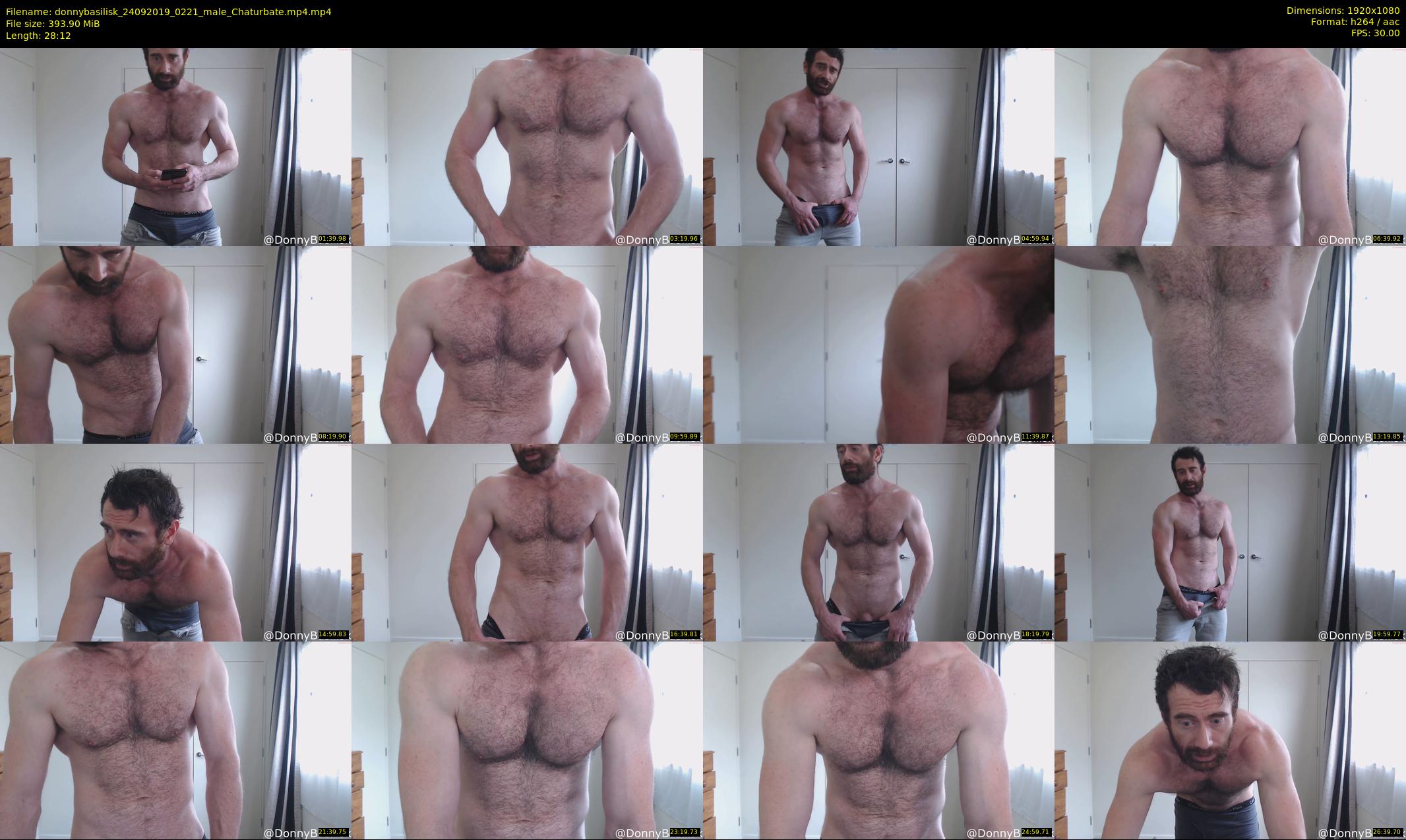 donnybasilisk — 29 minute Chaturbate male cam show recording, 1080p, Sep 24, 2019