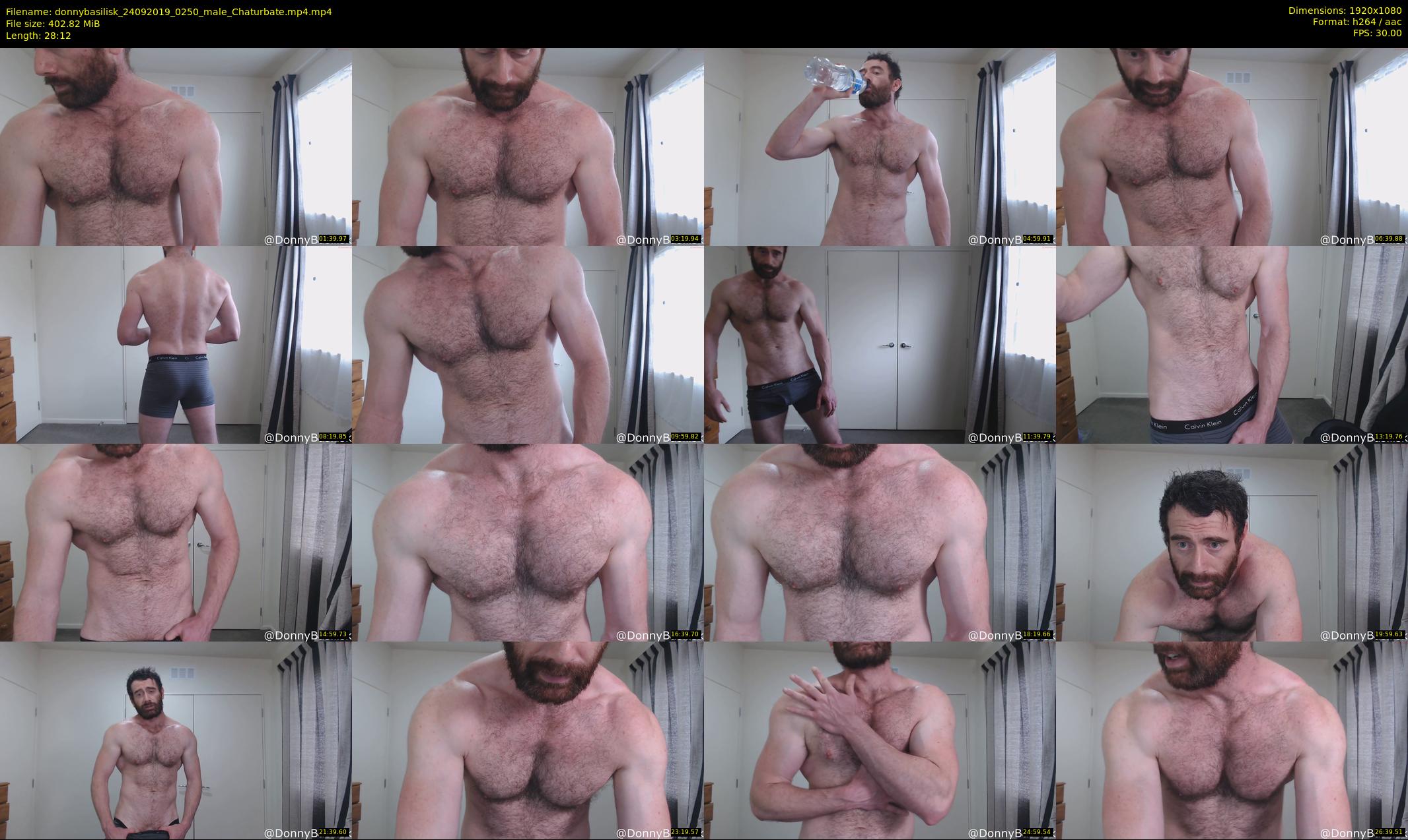 donnybasilisk — 29 minute Chaturbate male cam show recording, 1080p, Sep 24, 2019