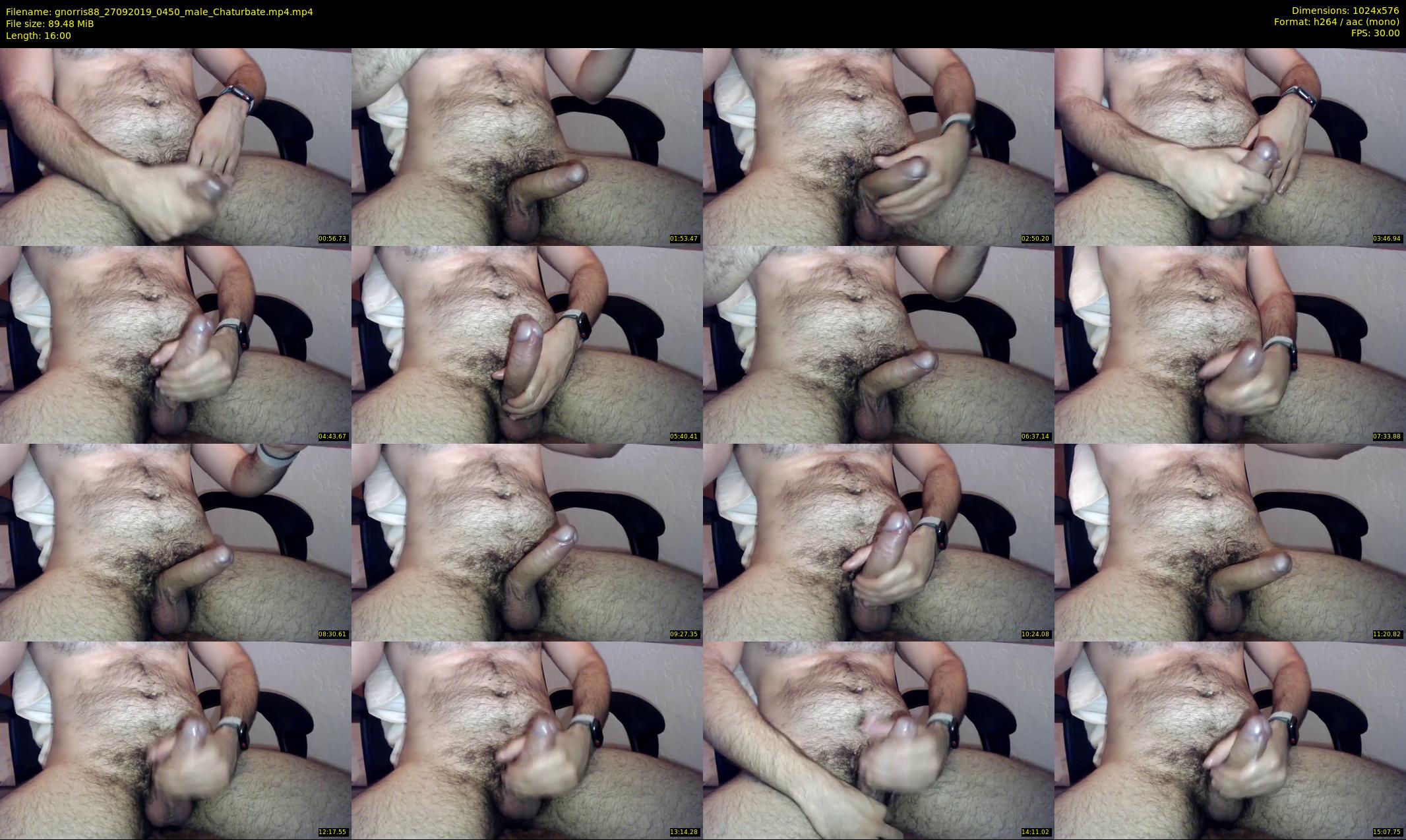 gnorris88 — 16 minute Chaturbate male cam show recording, 480p, Sep 27, 2019