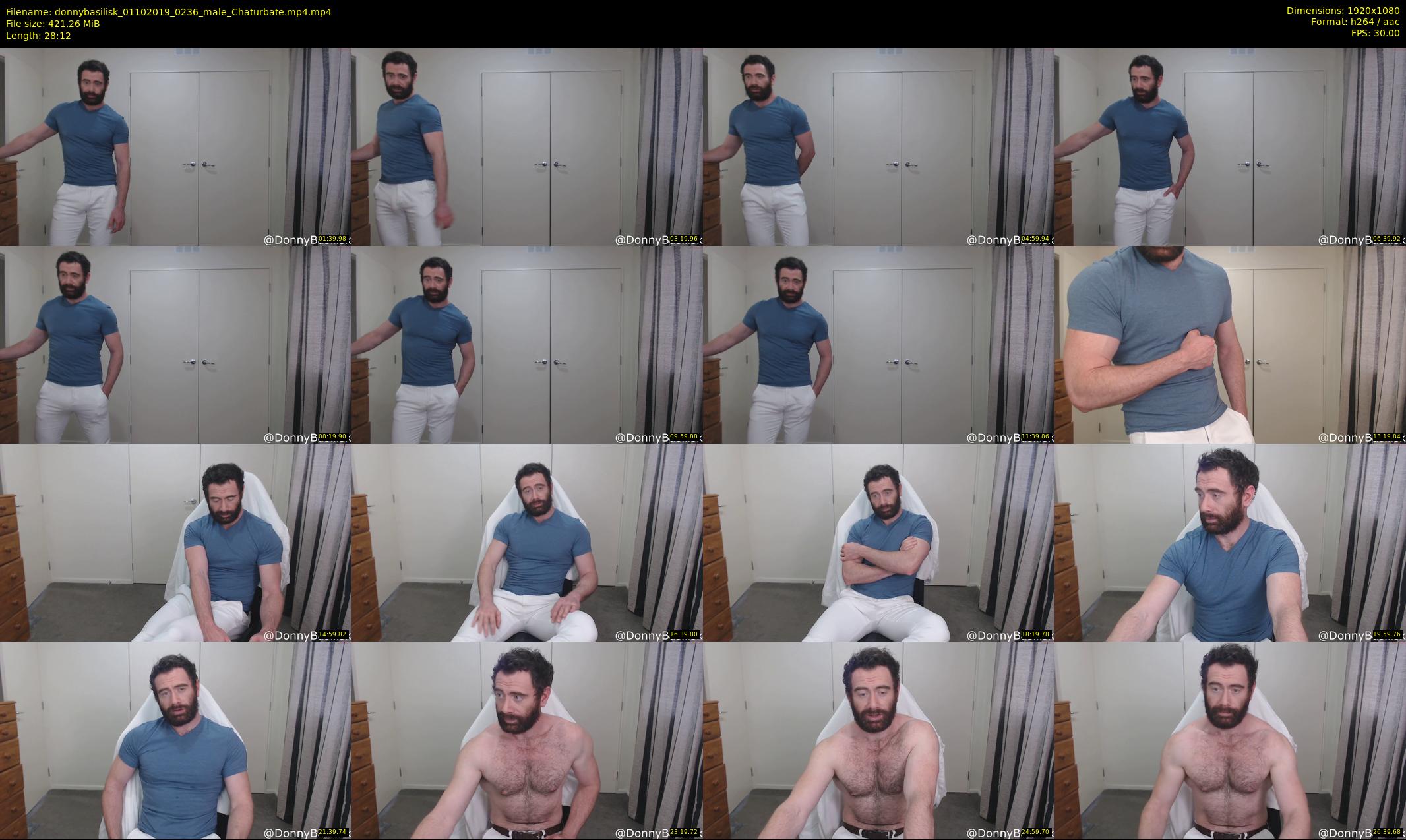 donnybasilisk — 29 minute Chaturbate male cam show recording, 1080p, Oct 1, 2019