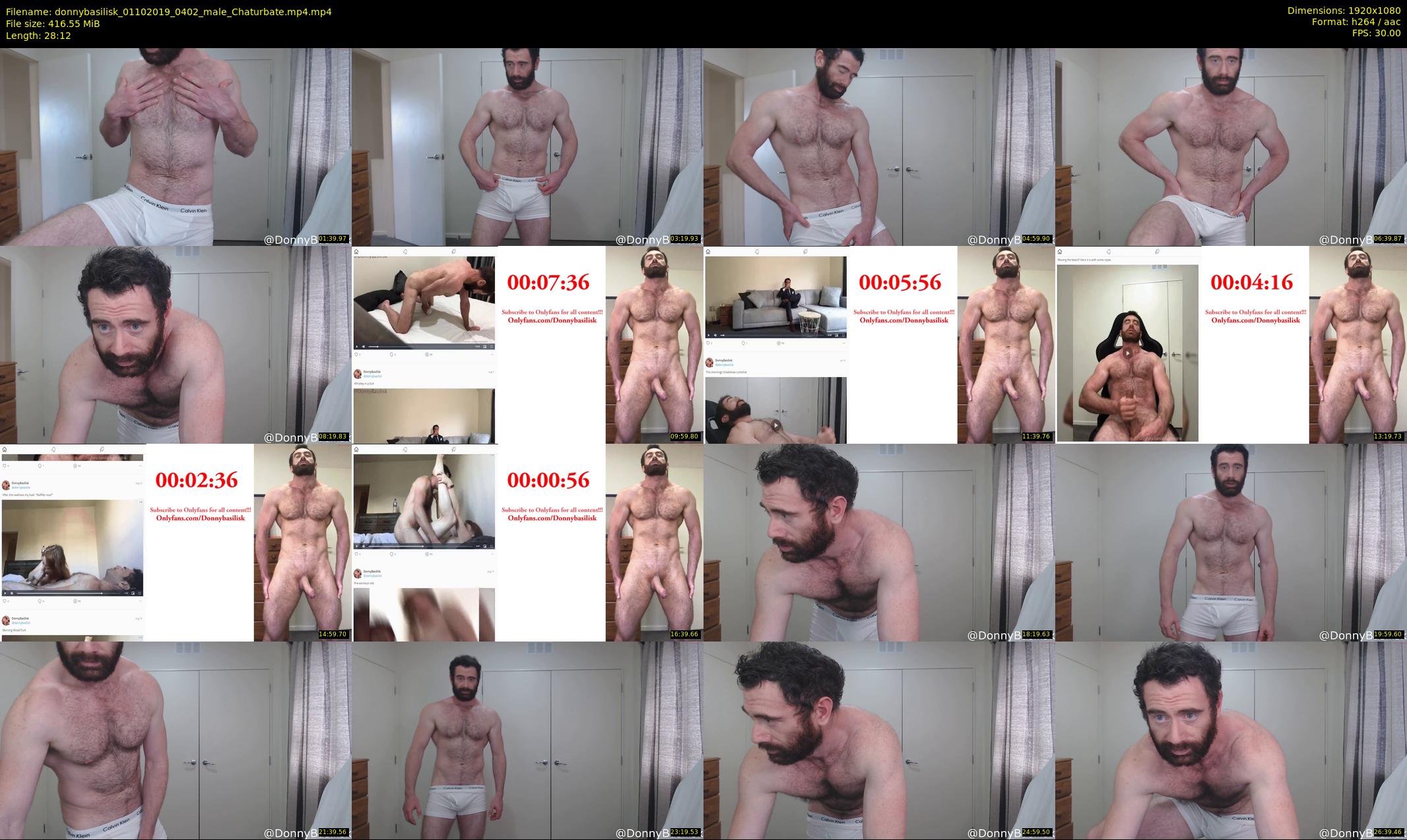 donnybasilisk — 29 minute Chaturbate male cam show recording, 1080p, Oct 1, 2019