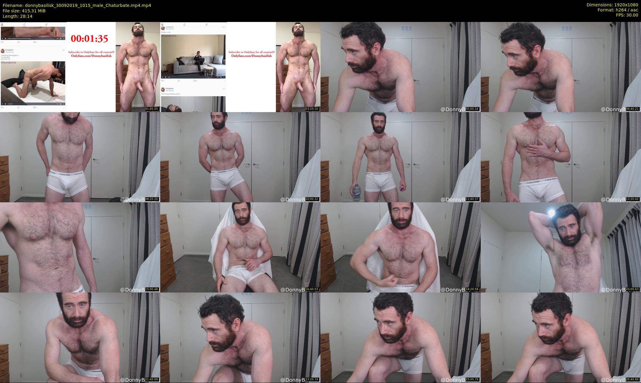 donnybasilisk — 29 minute Chaturbate male cam show recording, 1080p, Sep 30, 2019