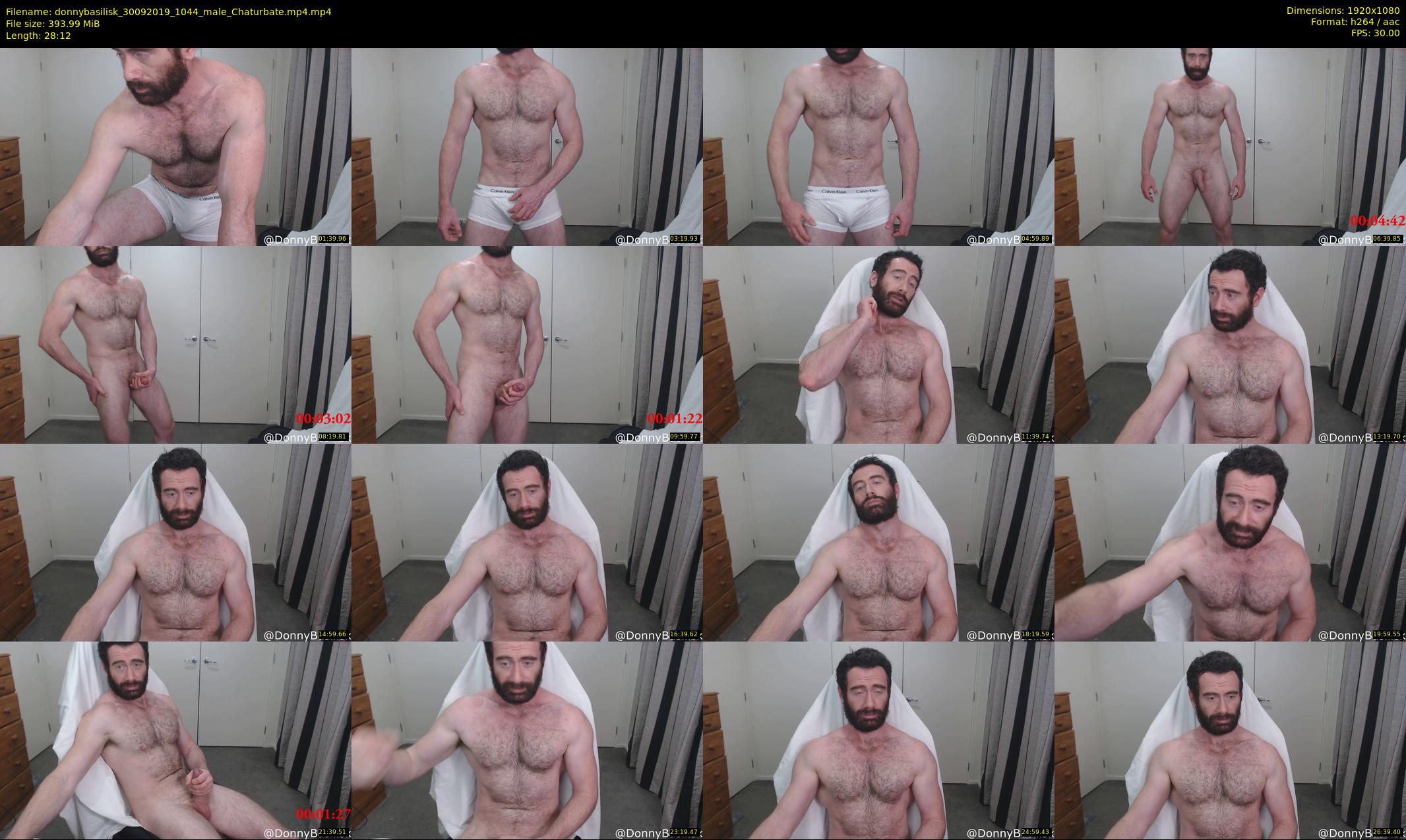 donnybasilisk — 29 minute Chaturbate male cam show recording, 1080p, Sep 30, 2019
