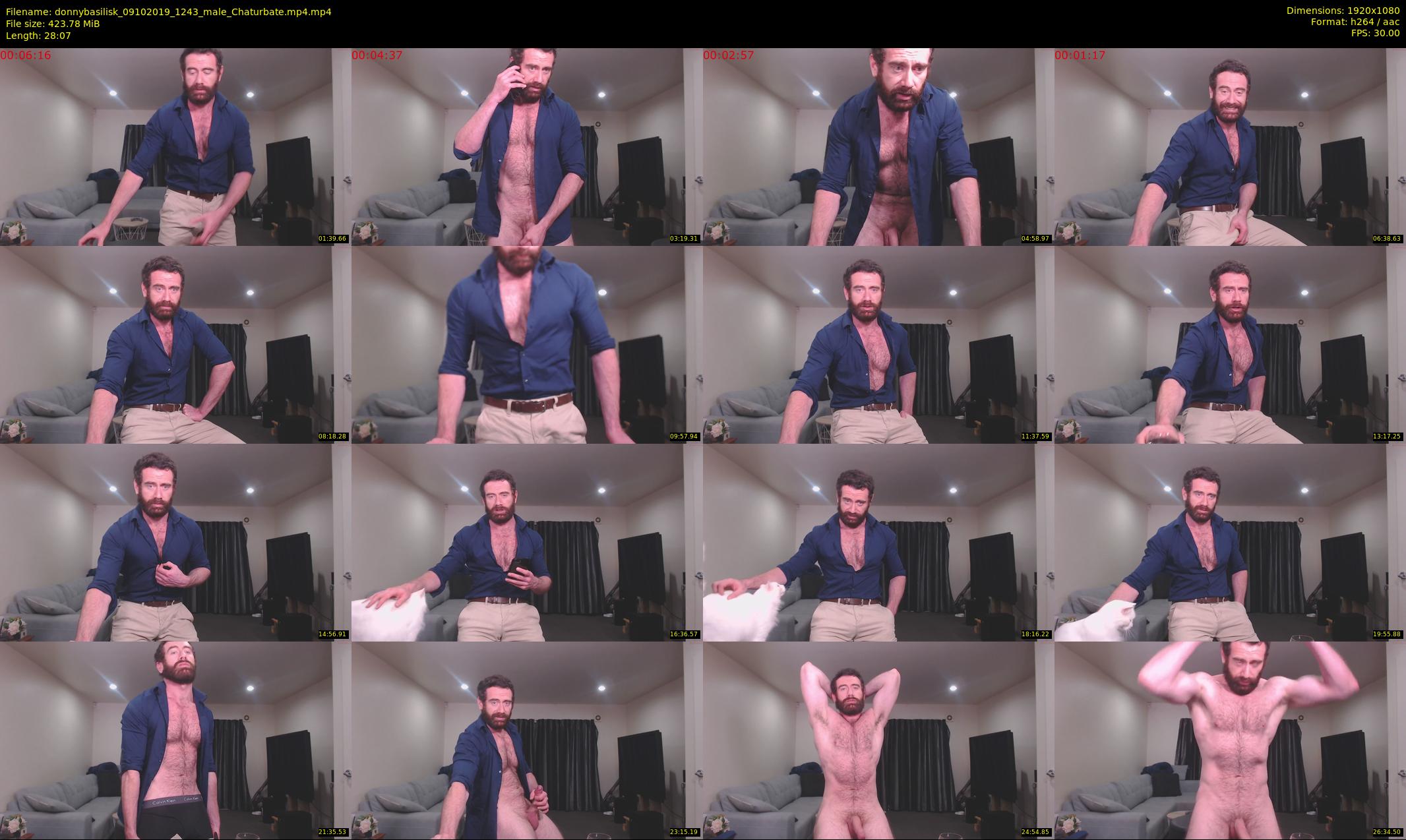 donnybasilisk — 29 minute Chaturbate male cam show recording, 1080p, Oct 9, 2019