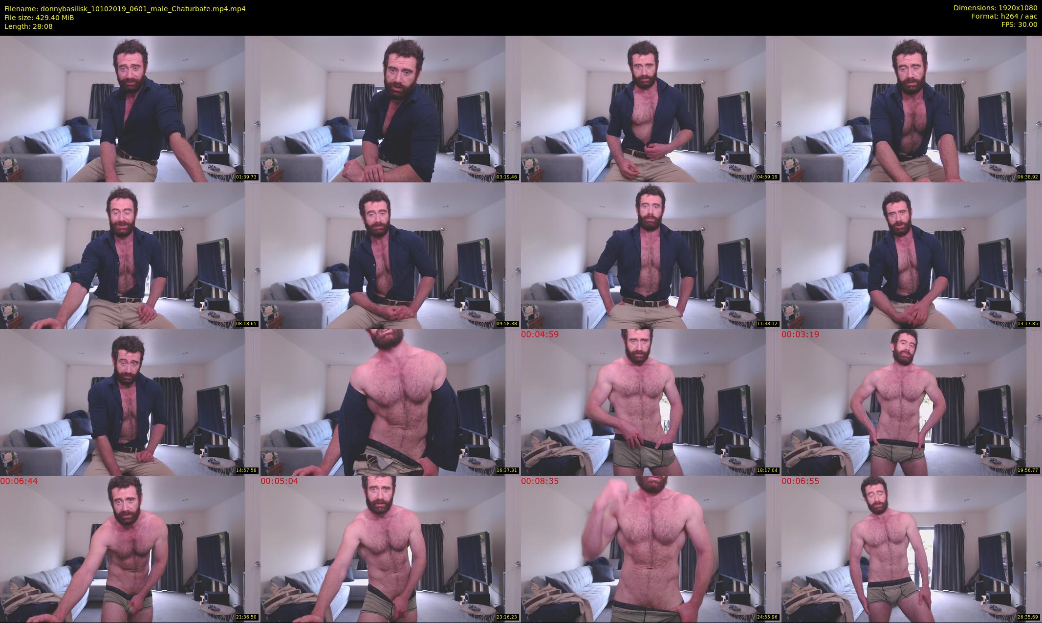 donnybasilisk — 29 minute Chaturbate male cam show recording, 1080p, Oct 10, 2019