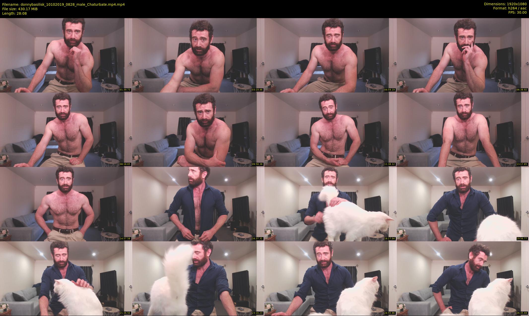 donnybasilisk — 29 minute Chaturbate male cam show recording, 1080p, Oct 10, 2019