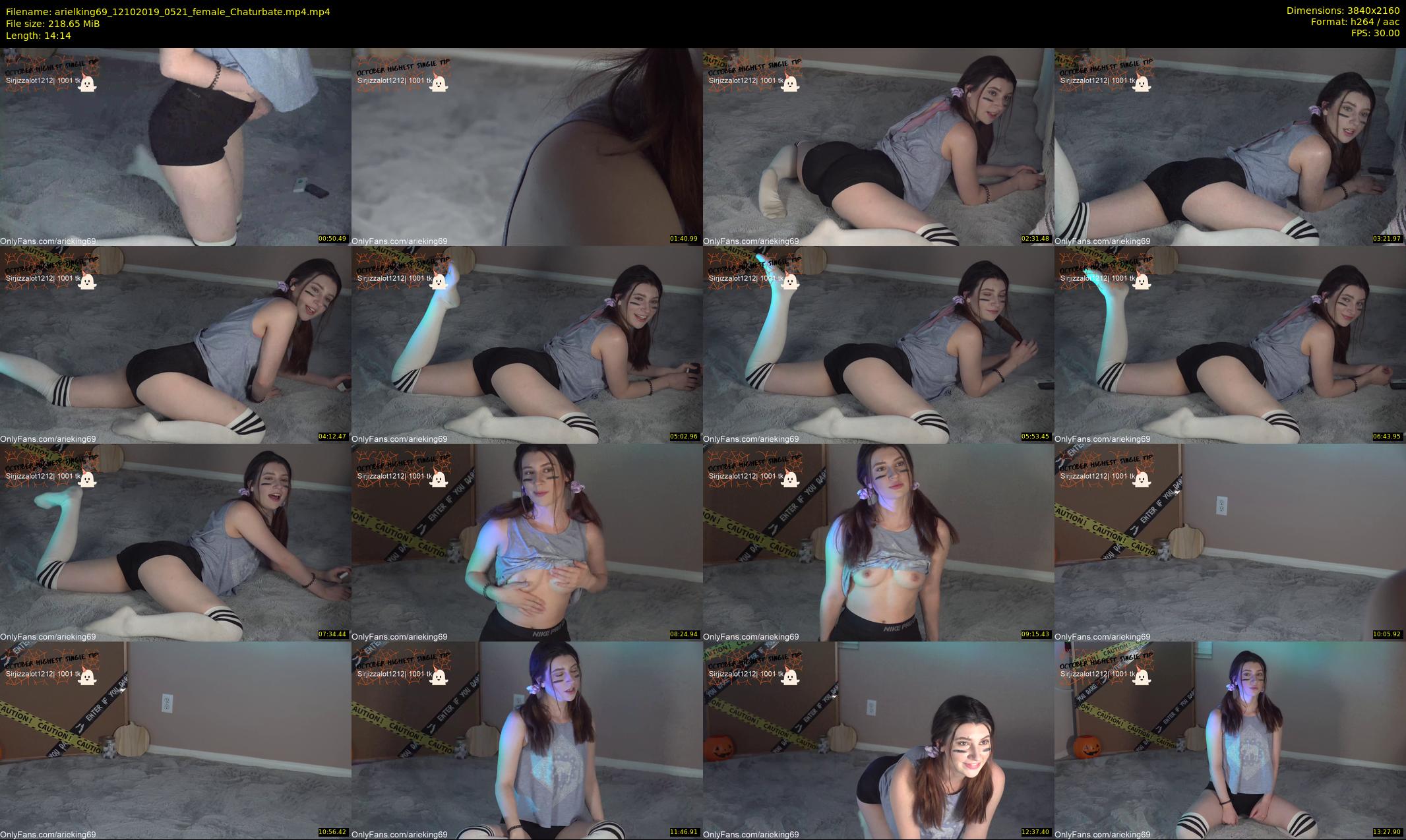arielking69 — 15 minute Chaturbate female cam show recording, 4K, Oct 12, 2019