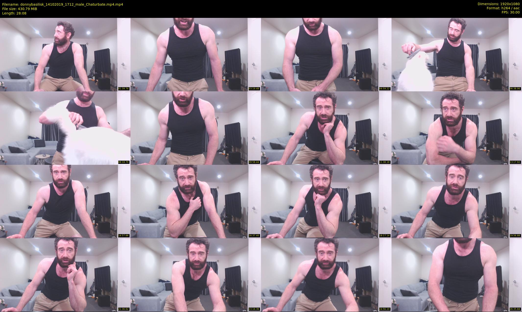 donnybasilisk — 29 minute Chaturbate male cam show recording, 1080p, Oct 14, 2019