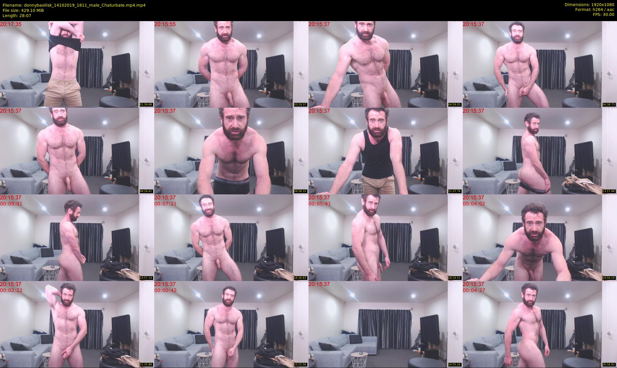 donnybasilisk — 29 minute Chaturbate male cam show recording, 1080p, Oct 14, 2019