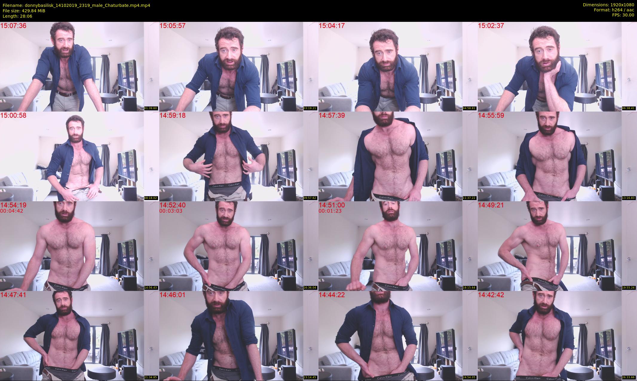 donnybasilisk — 29 minute Chaturbate male cam show recording, 1080p, Oct 14, 2019