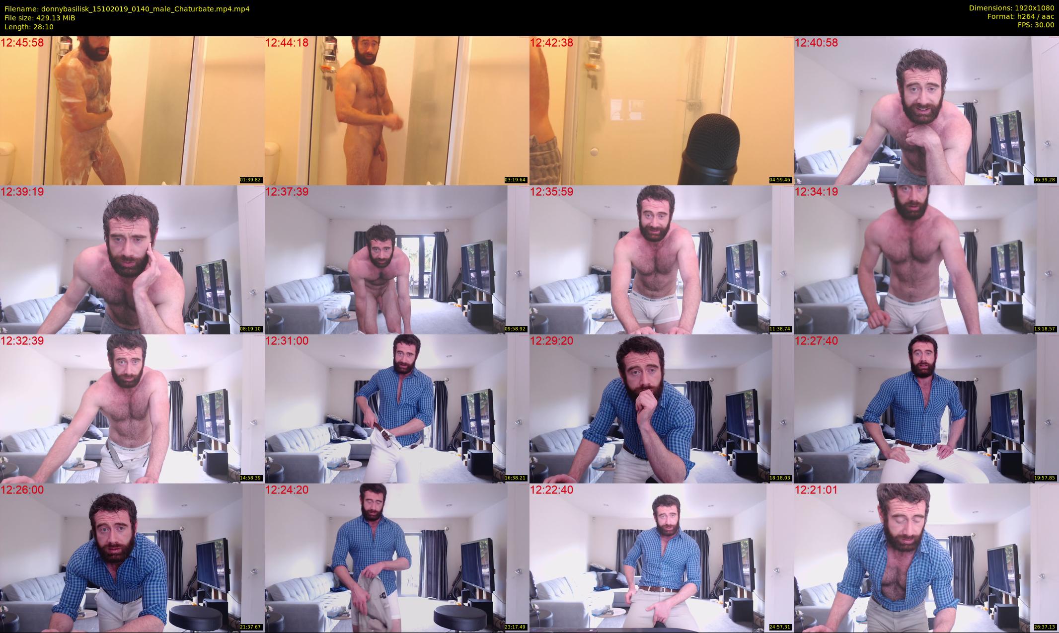 donnybasilisk — 29 minute Chaturbate male cam show recording, 1080p, Oct 15, 2019