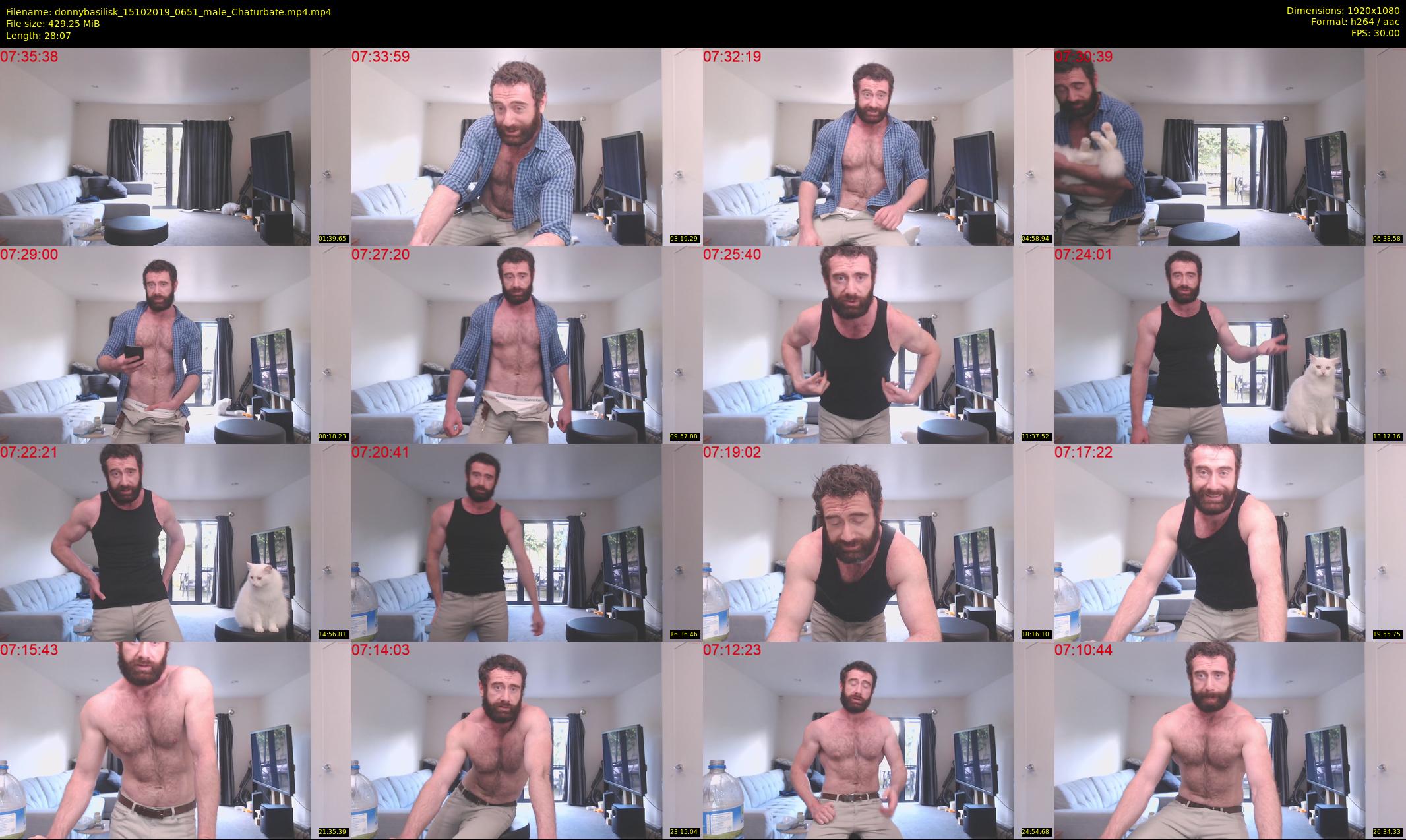 donnybasilisk — 29 minute Chaturbate male cam show recording, 1080p, Oct 15, 2019