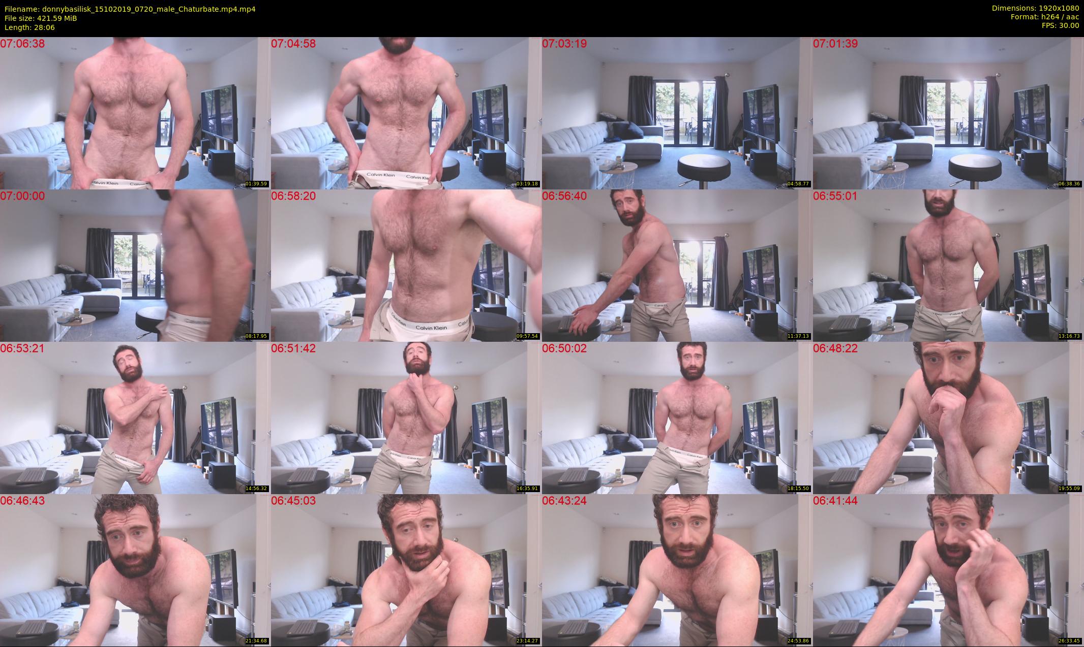 donnybasilisk — 29 minute Chaturbate male cam show recording, 1080p, Oct 15, 2019