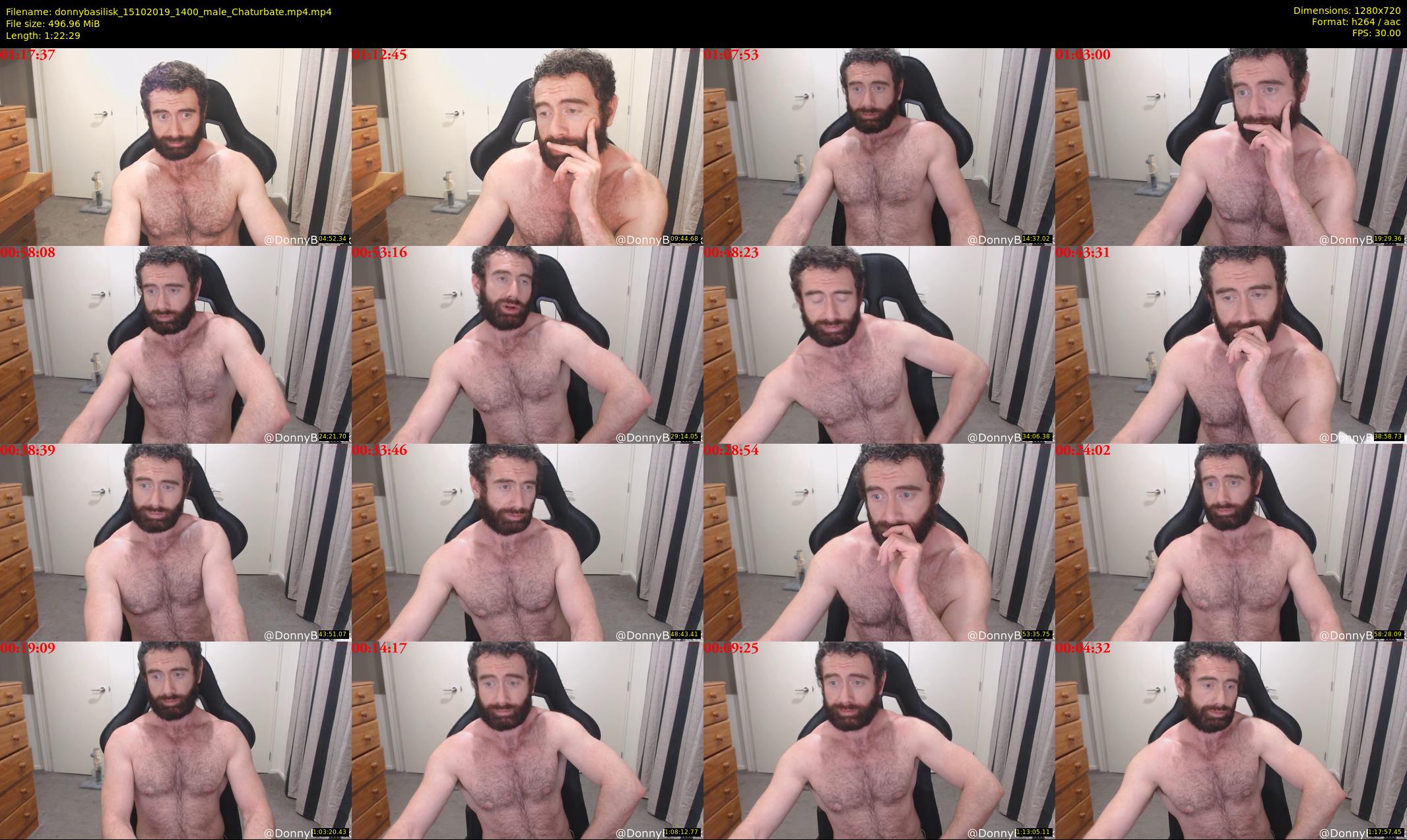 donnybasilisk — 83 minute Chaturbate male cam show recording, 720p, Oct 15, 2019
