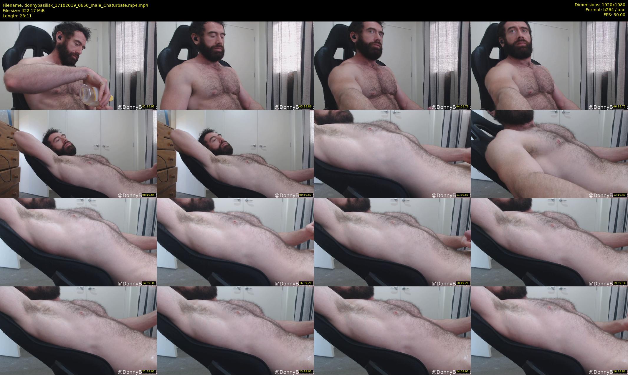 donnybasilisk — 29 minute Chaturbate male cam show recording, 1080p, Oct 17, 2019