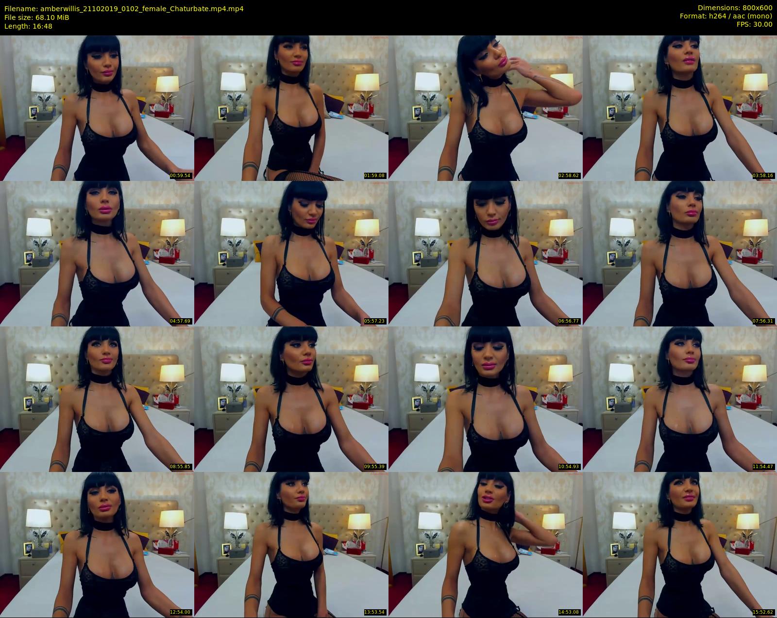 amberwillis — 17 minute Chaturbate female cam show recording, 480p, Oct 21, 2019