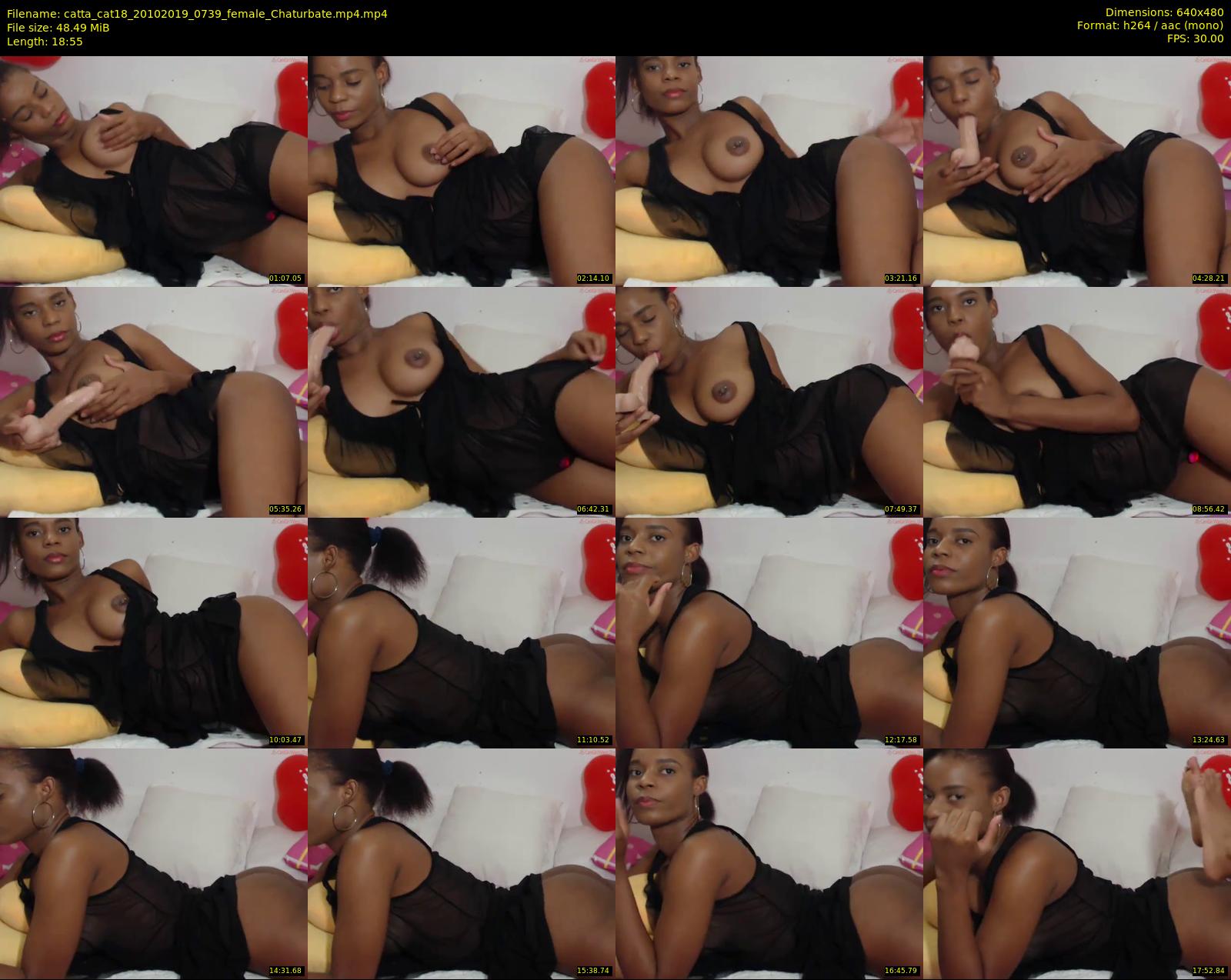 catta_cat18 — 19 minute Chaturbate female cam show recording, 480p, Oct 20, 2019