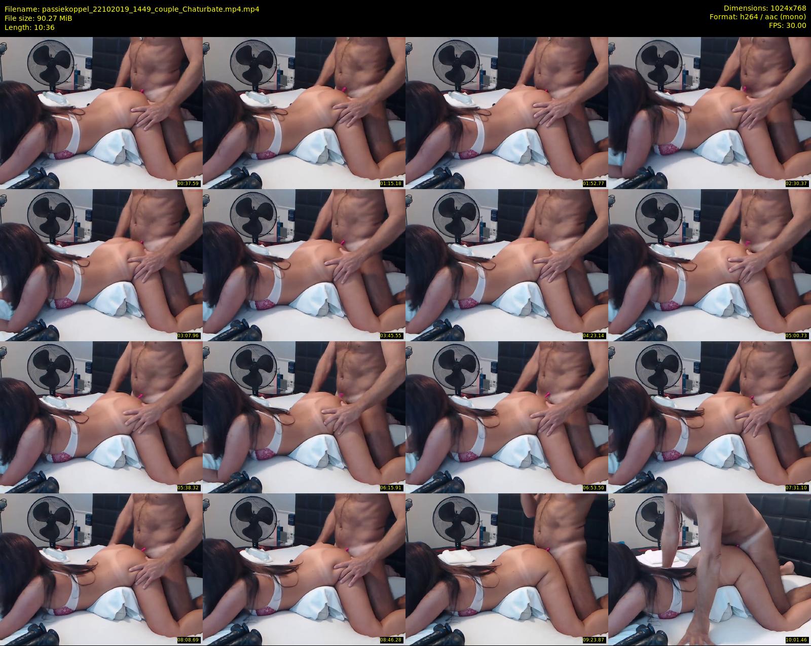 passiekoppel — 11 minute Chaturbate couple cam show recording, 720p, Oct 22, 2019