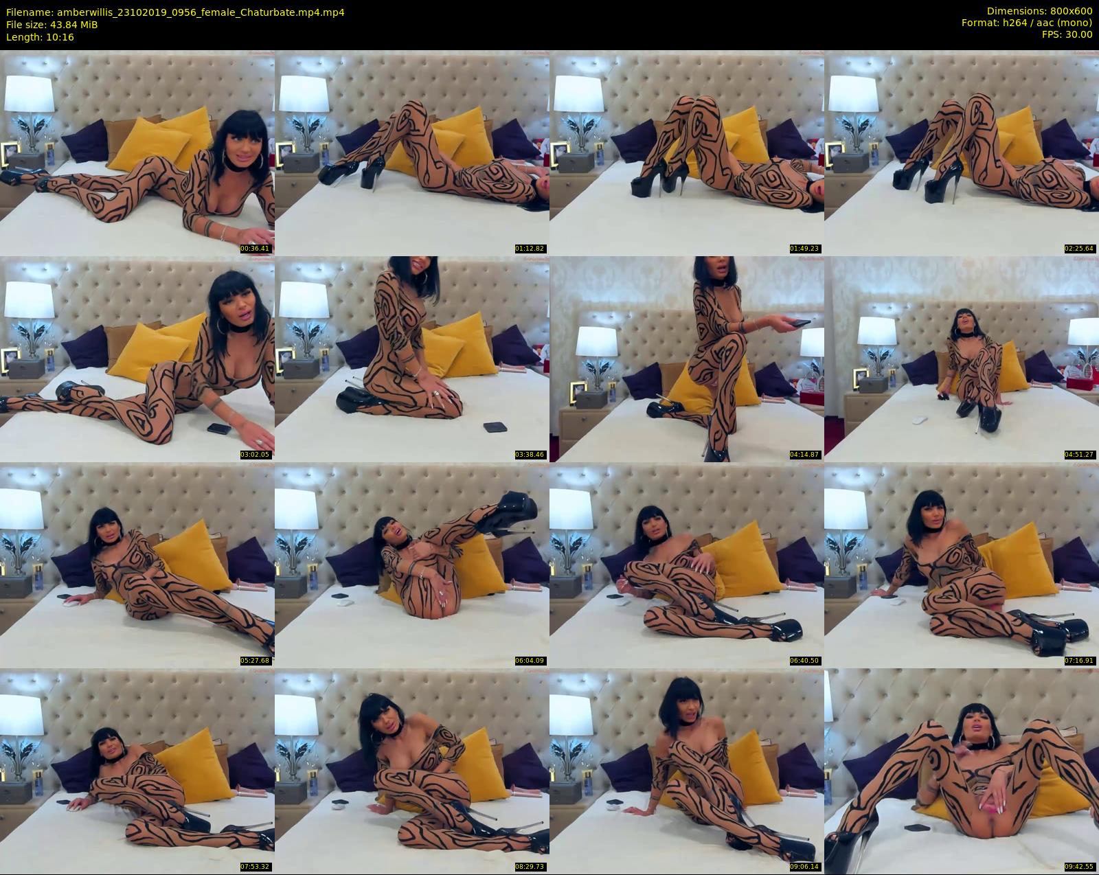 amberwillis — 11 minute Chaturbate female cam show recording, 480p, Oct 23, 2019