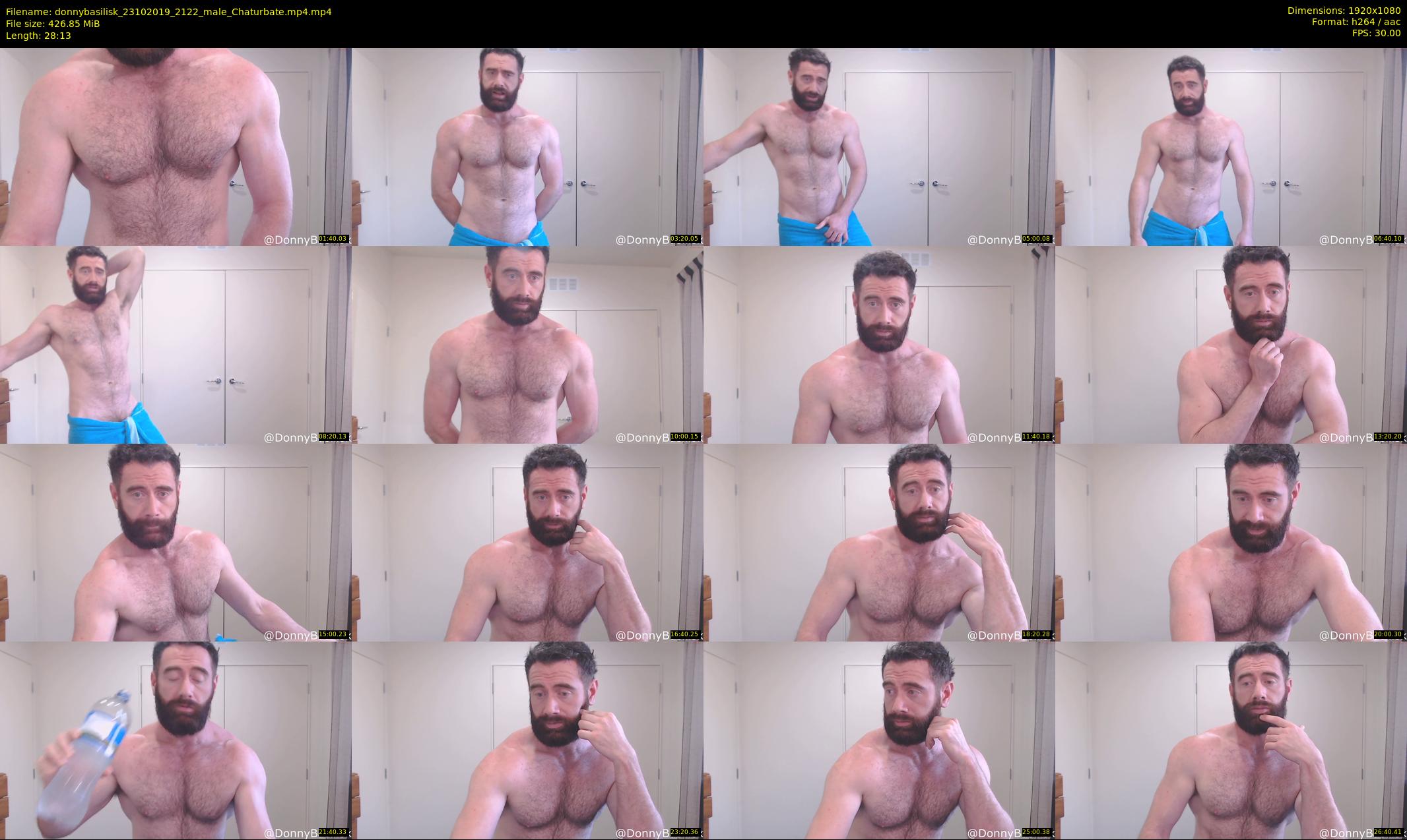 donnybasilisk — 29 minute Chaturbate male cam show recording, 1080p, Oct 23, 2019