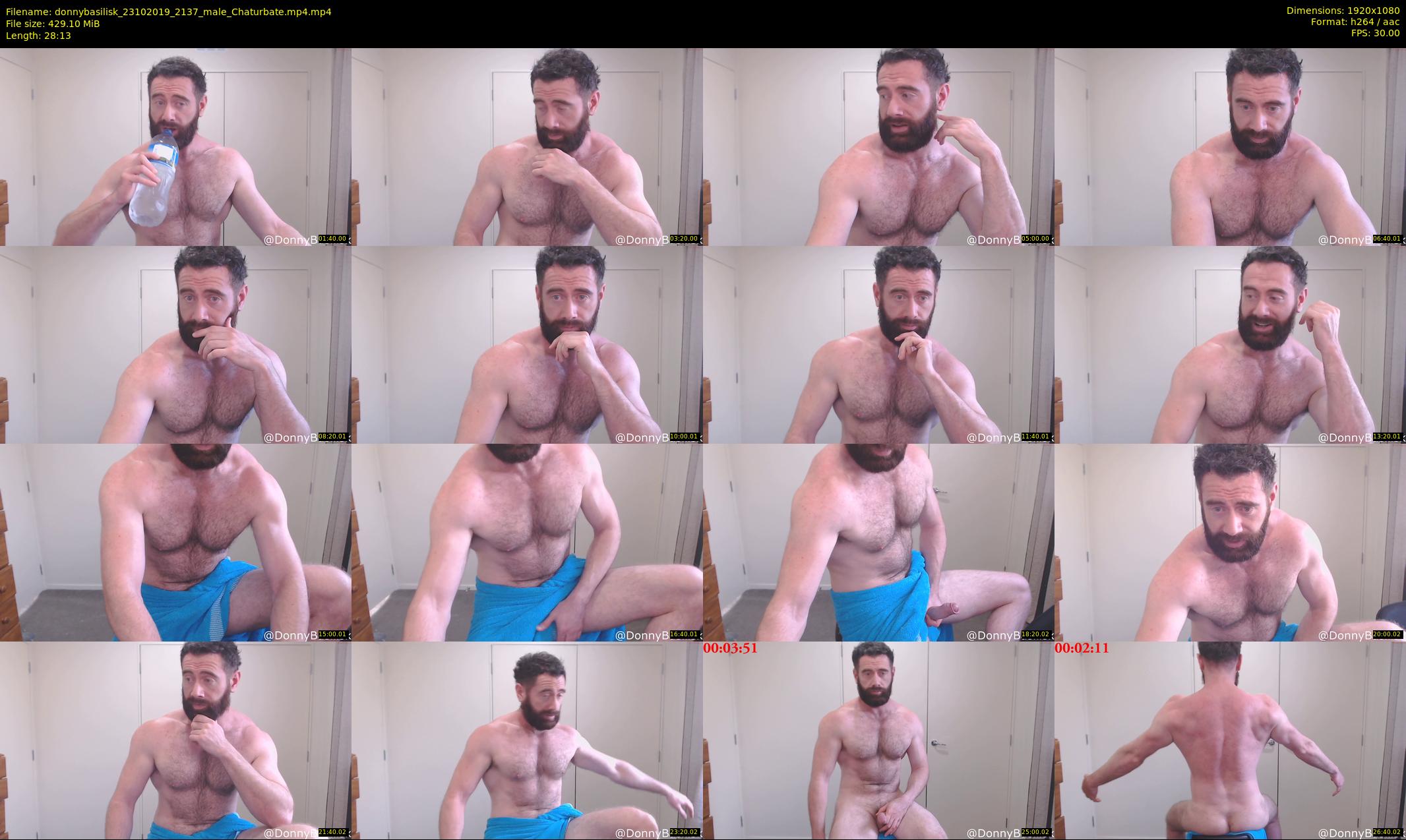 donnybasilisk — 29 minute Chaturbate male cam show recording, 1080p, Oct 23, 2019