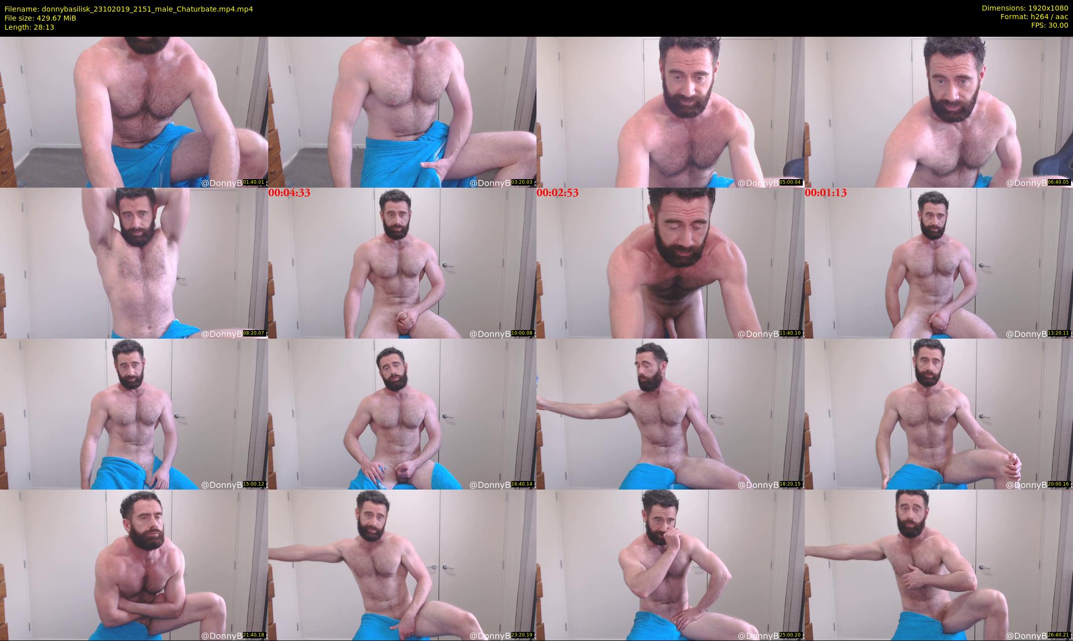 donnybasilisk — 29 minute Chaturbate male cam show recording, 1080p, Oct 23, 2019