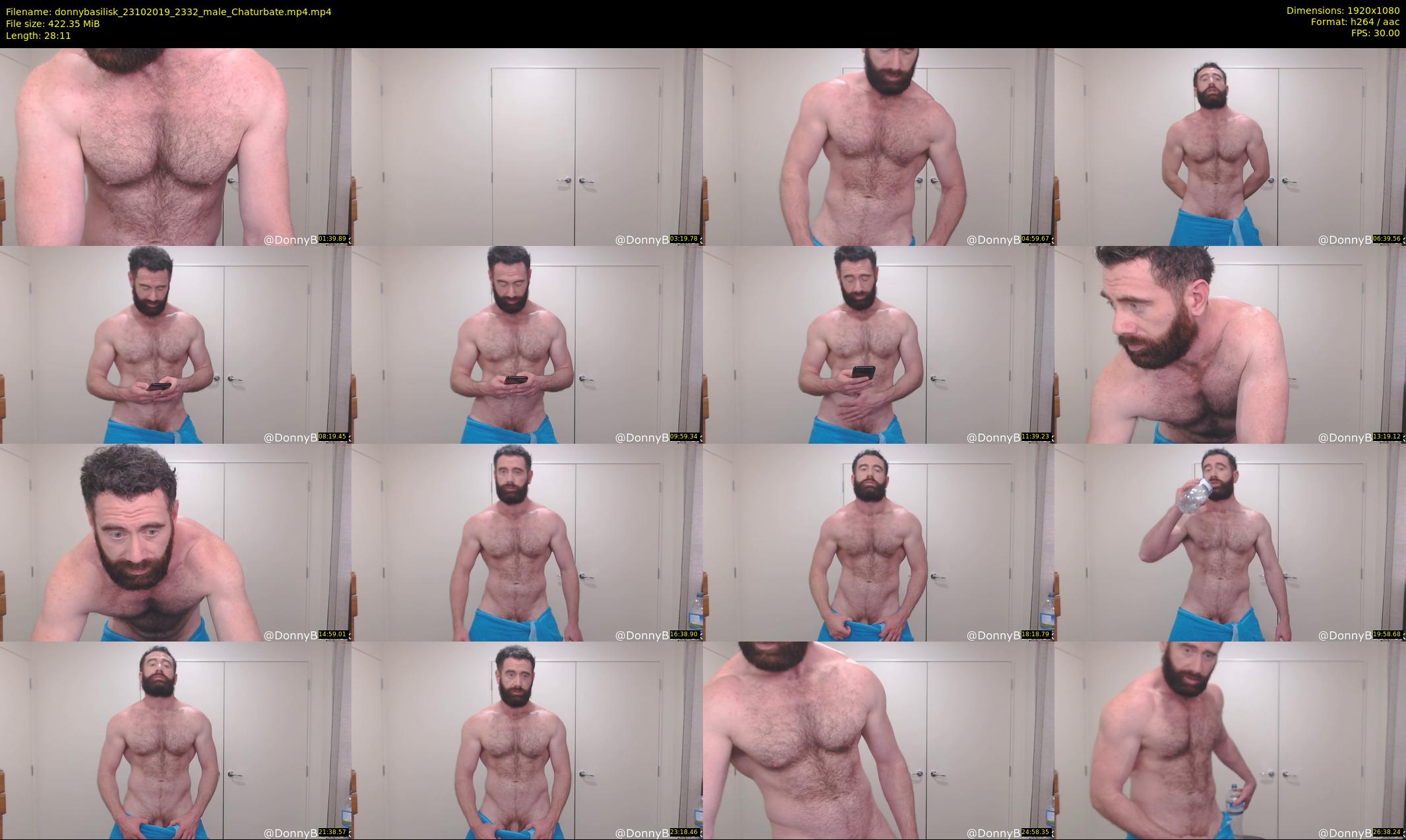 donnybasilisk — 29 minute Chaturbate male cam show recording, 1080p, Oct 23, 2019