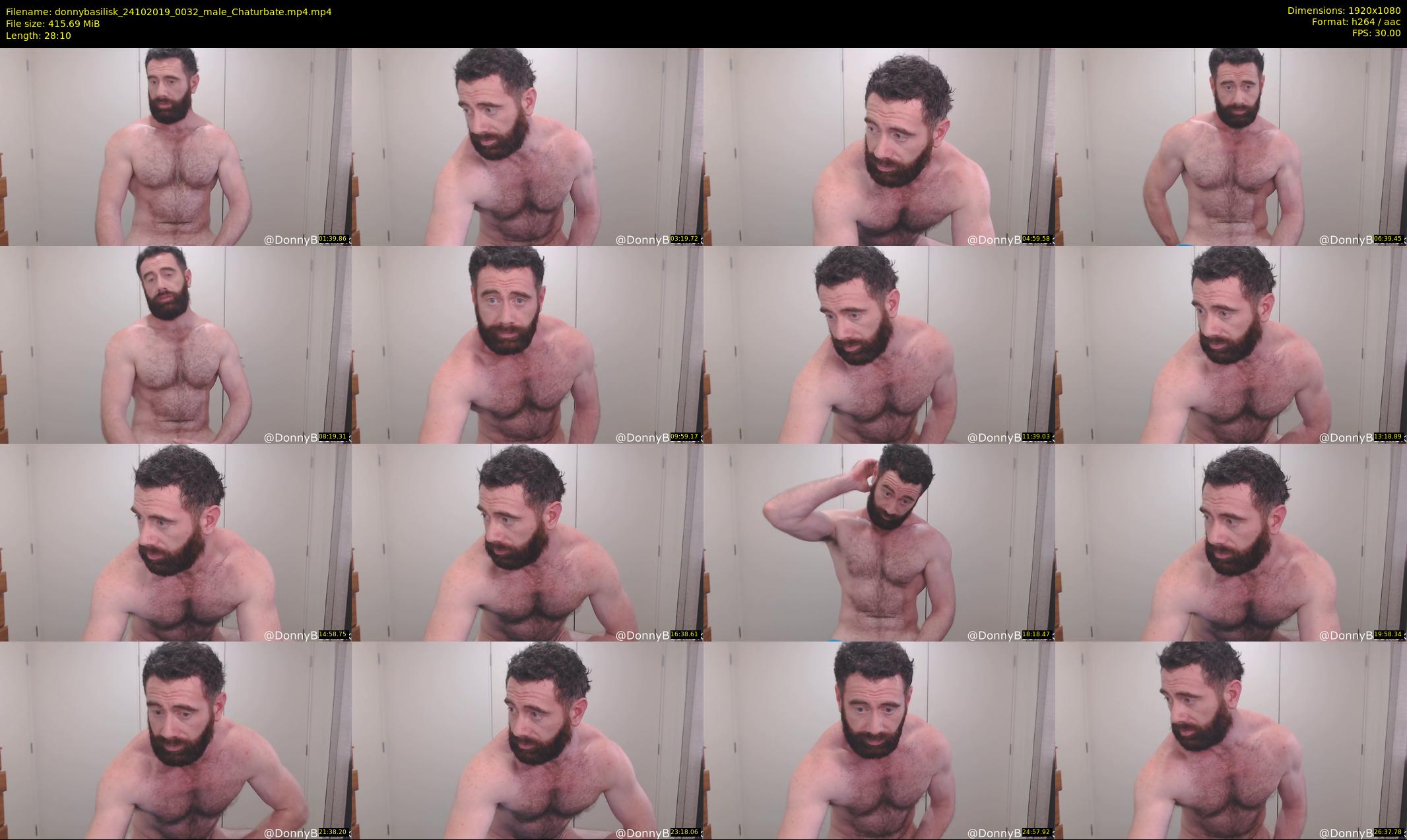 donnybasilisk — 29 minute Chaturbate male cam show recording, 1080p, Oct 24, 2019
