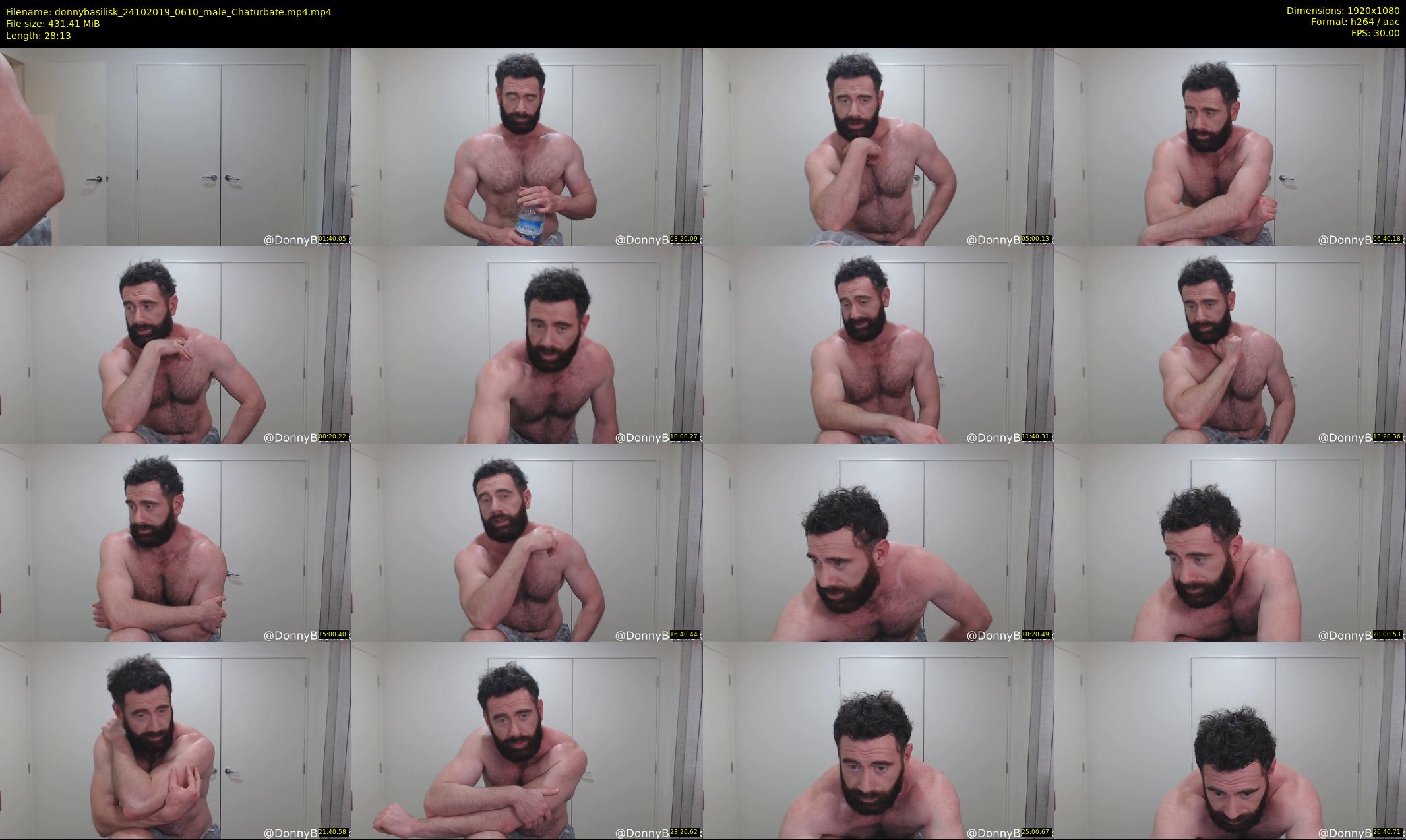 donnybasilisk — 29 minute Chaturbate male cam show recording, 1080p, Oct 24, 2019