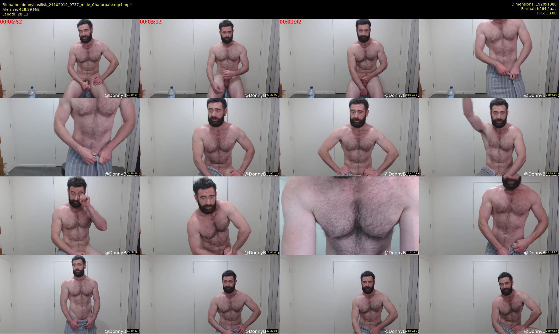 donnybasilisk — 29 minute Chaturbate male cam show recording, 1080p, Oct 24, 2019