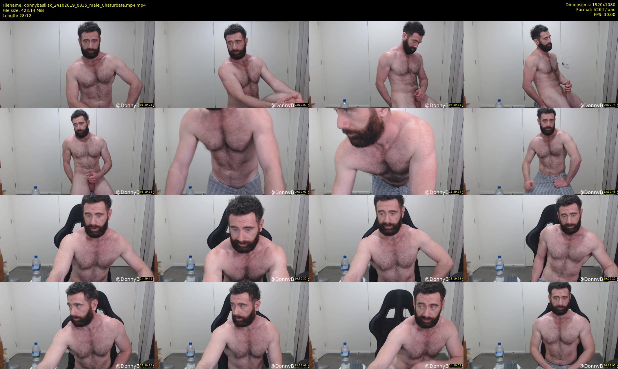 donnybasilisk — 29 minute Chaturbate male cam show recording, 1080p, Oct 24, 2019
