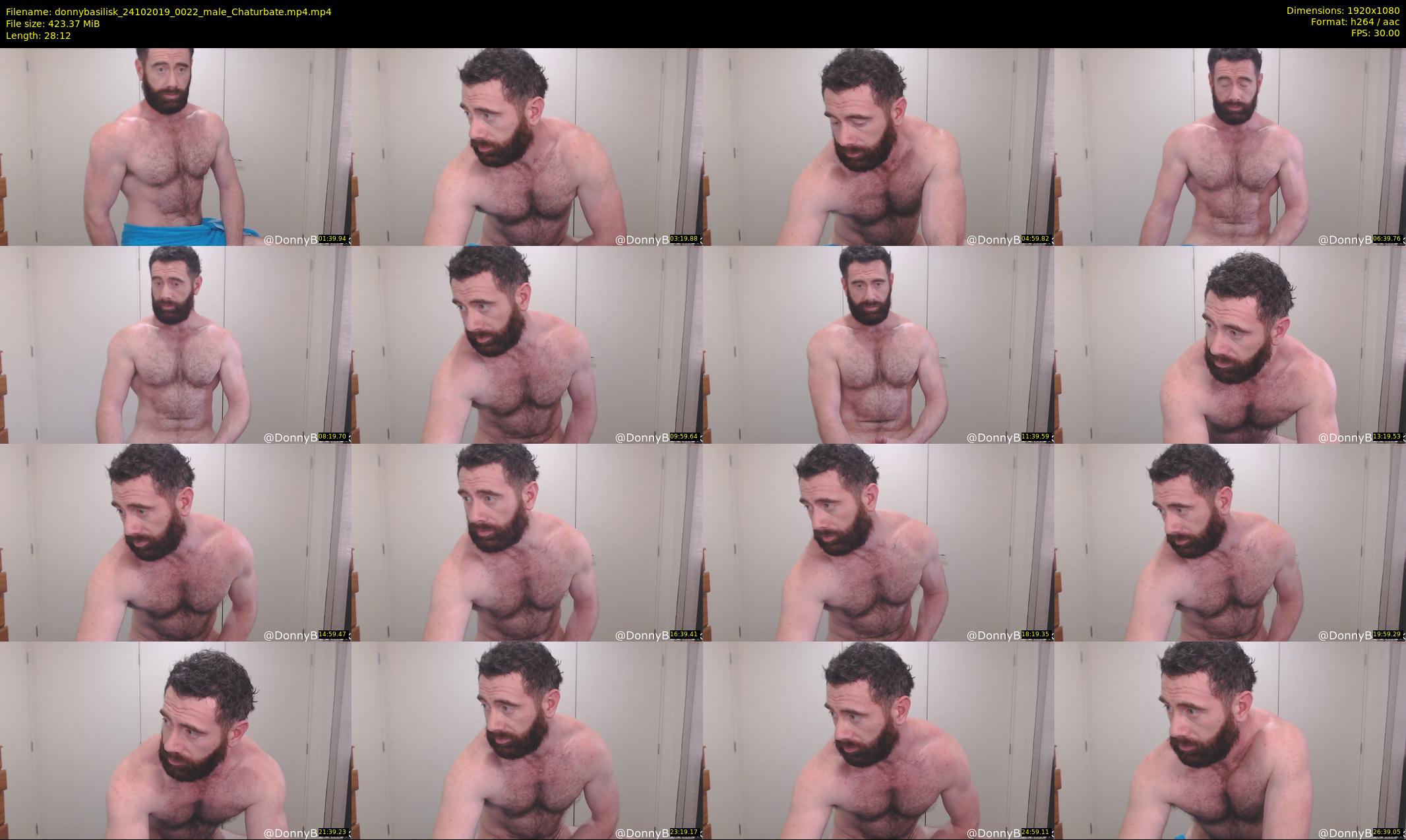 donnybasilisk — 29 minute Chaturbate male cam show recording, 1080p, Oct 24, 2019