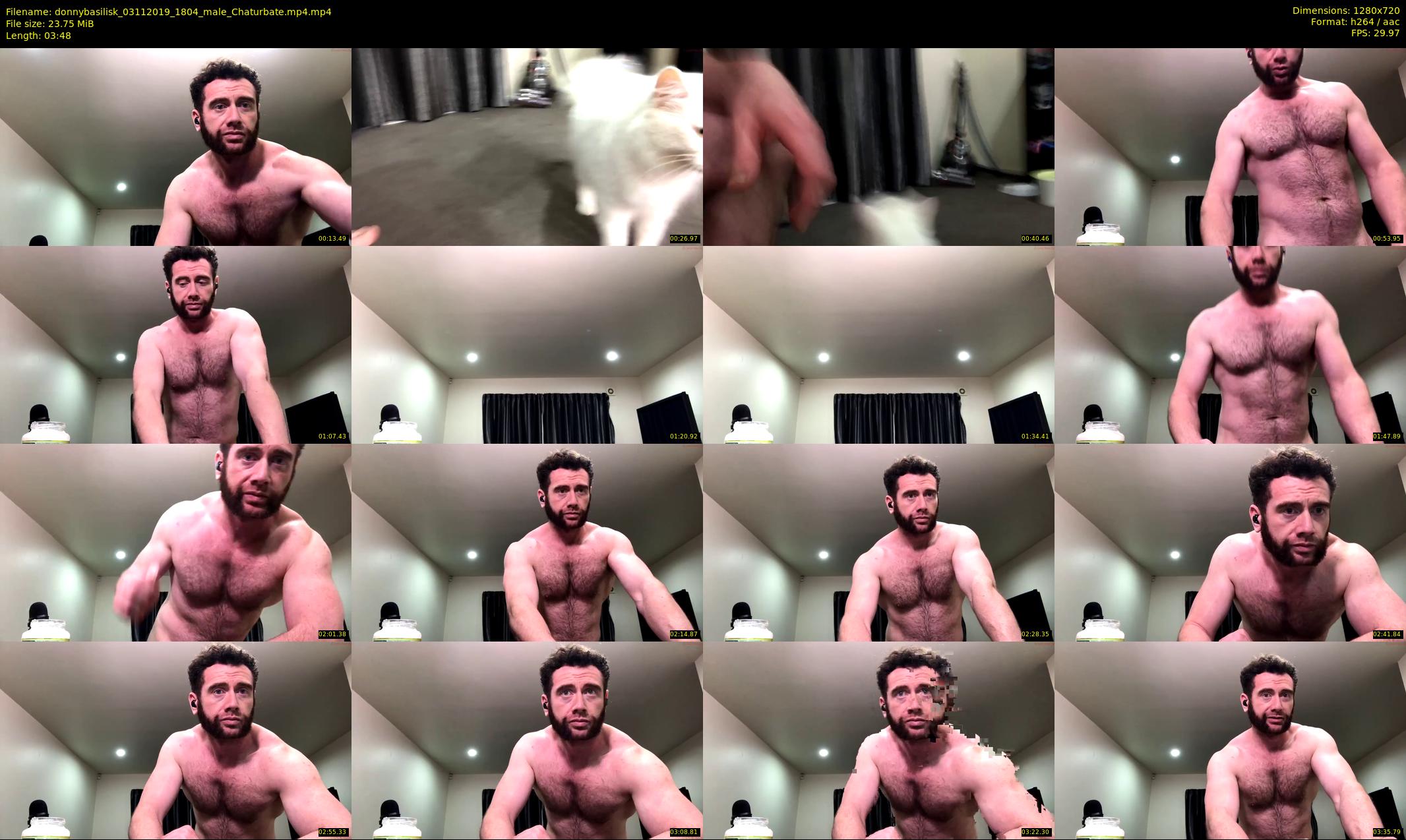 donnybasilisk — 4 minute Chaturbate male cam show recording, 720p, Nov 3, 2019