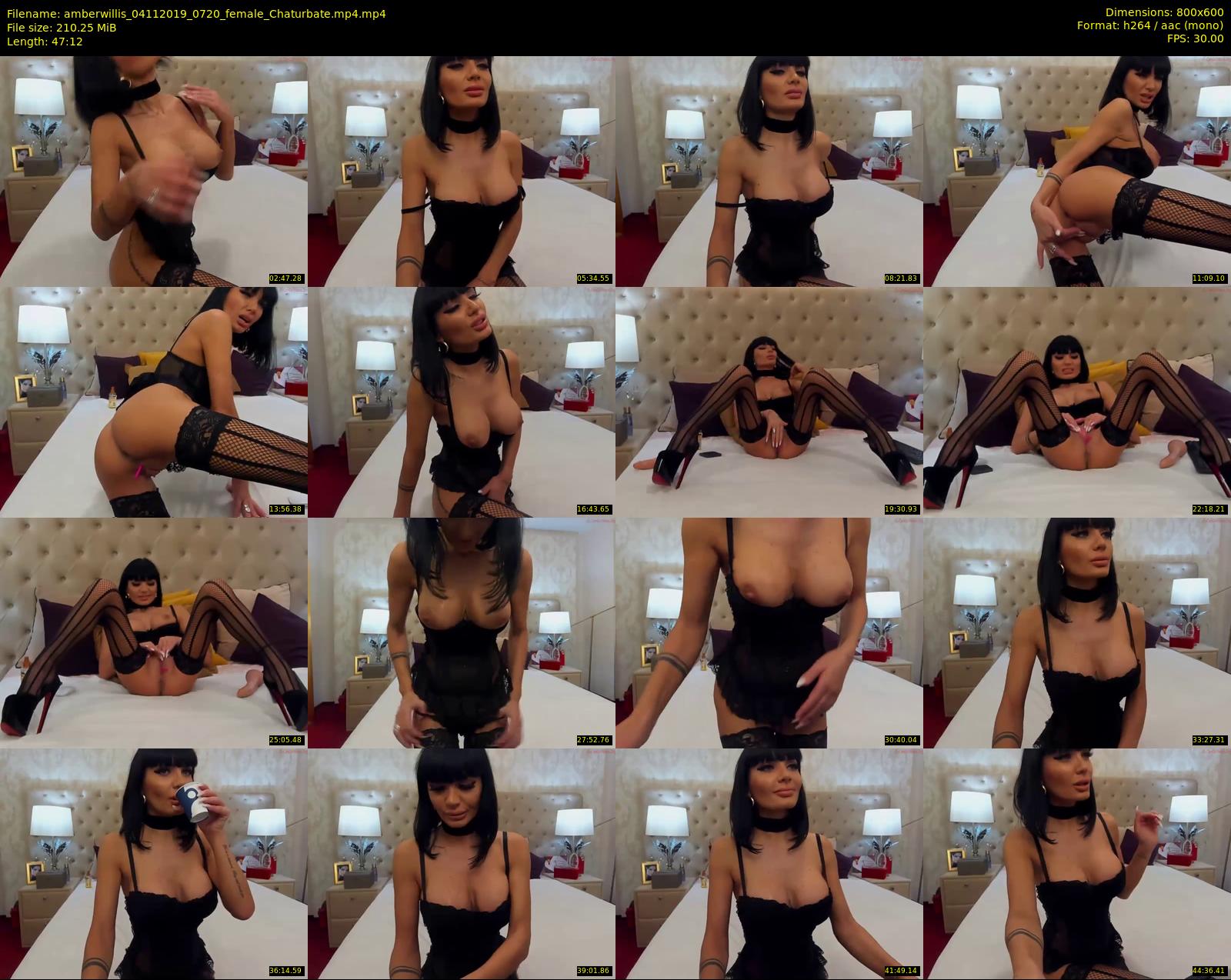 amberwillis — 48 minute Chaturbate female cam show recording, 480p, Nov 4, 2019