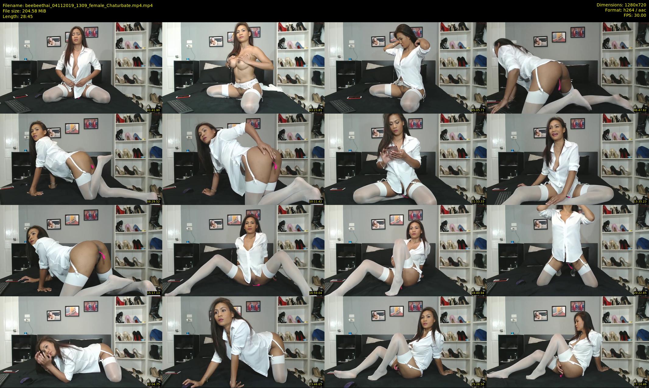 beebeethai — 29 minute Chaturbate female cam show recording, 720p, Nov 4, 2019