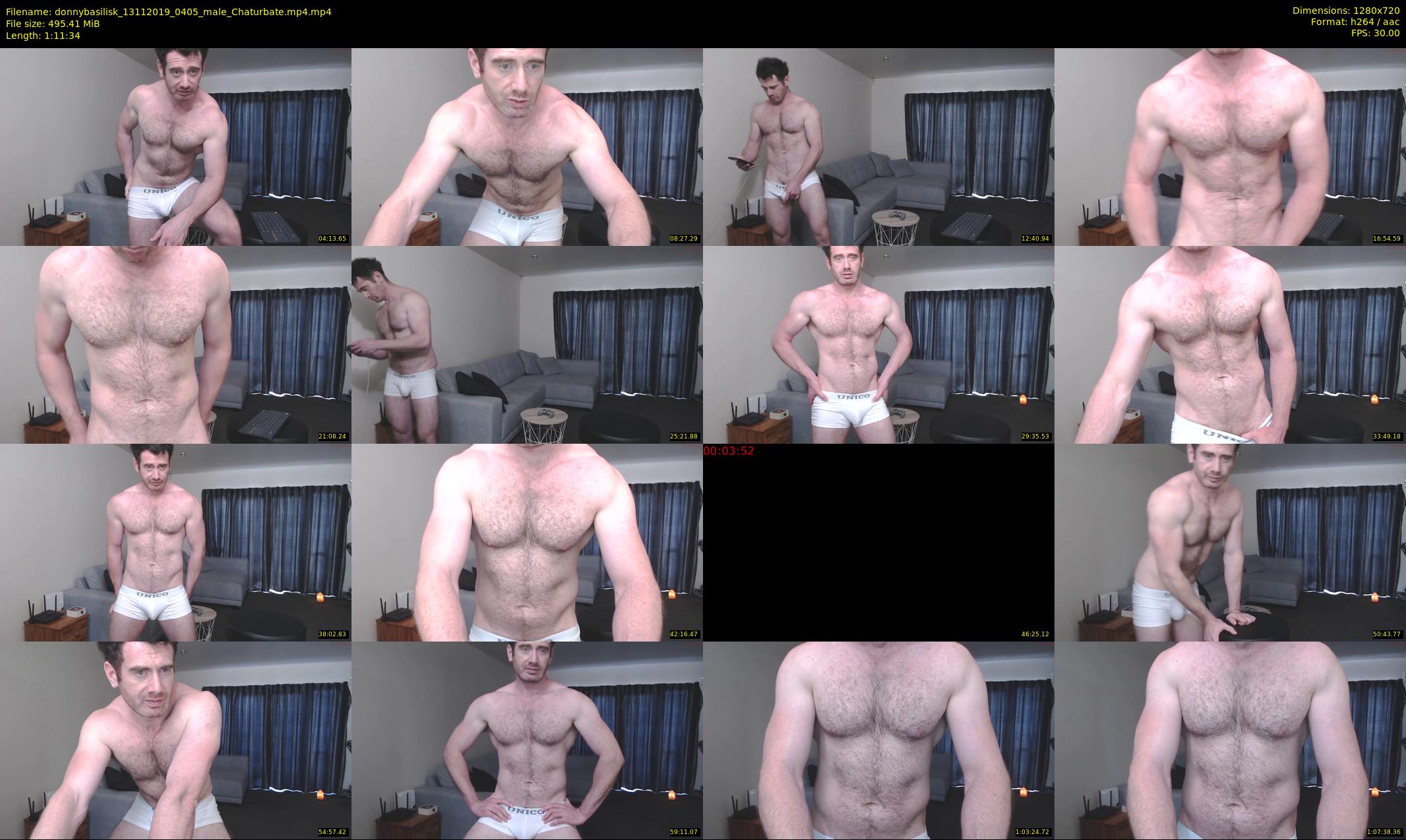 donnybasilisk — 72 minute Chaturbate male cam show recording, 720p, Nov 13, 2019