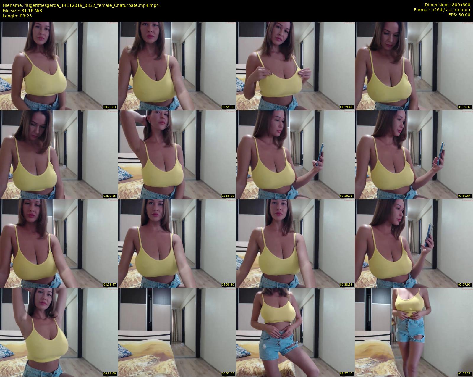 hugetittiesgerda — 9 minute Chaturbate female cam show recording, 480p, Nov 14, 2019