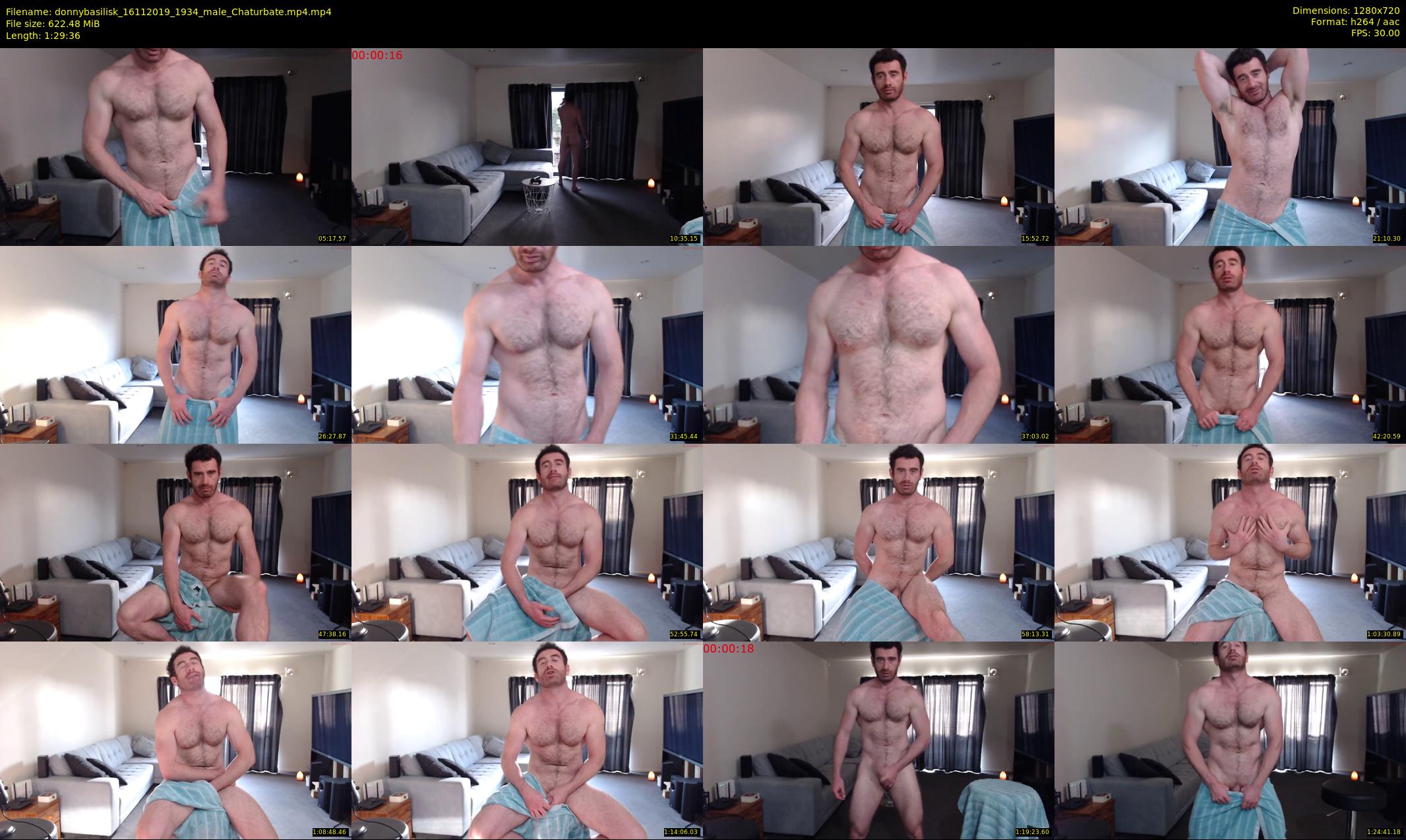donnybasilisk — 90 minute Chaturbate male cam show recording, 720p, Nov 16, 2019