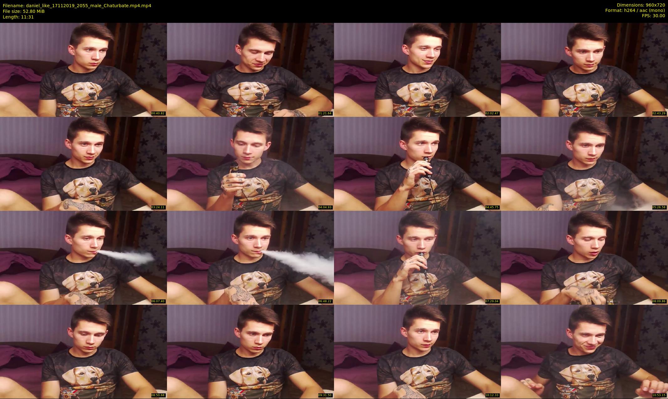 daniel_like — 12 minute Chaturbate male cam show recording, 720p, Nov 17, 2019
